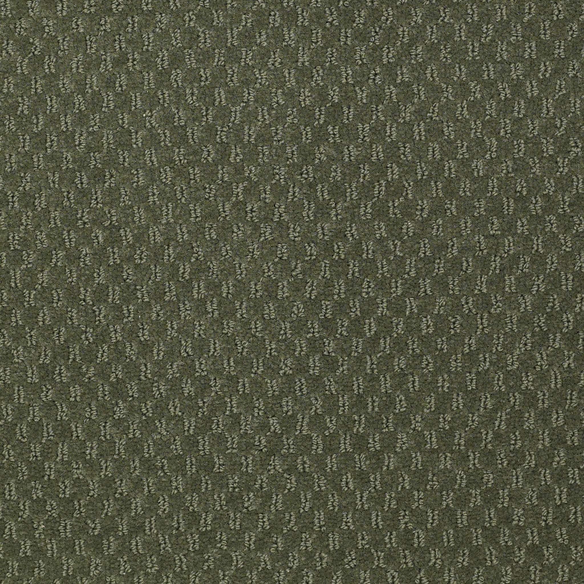 ELEMENTS-Q0421-PALE-FOREST-21354-main-image