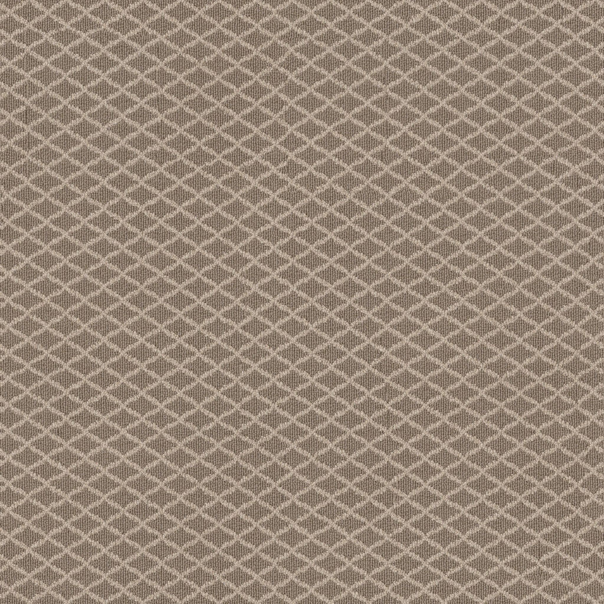 SPRINGER'S POINT CREEKBED MAIN