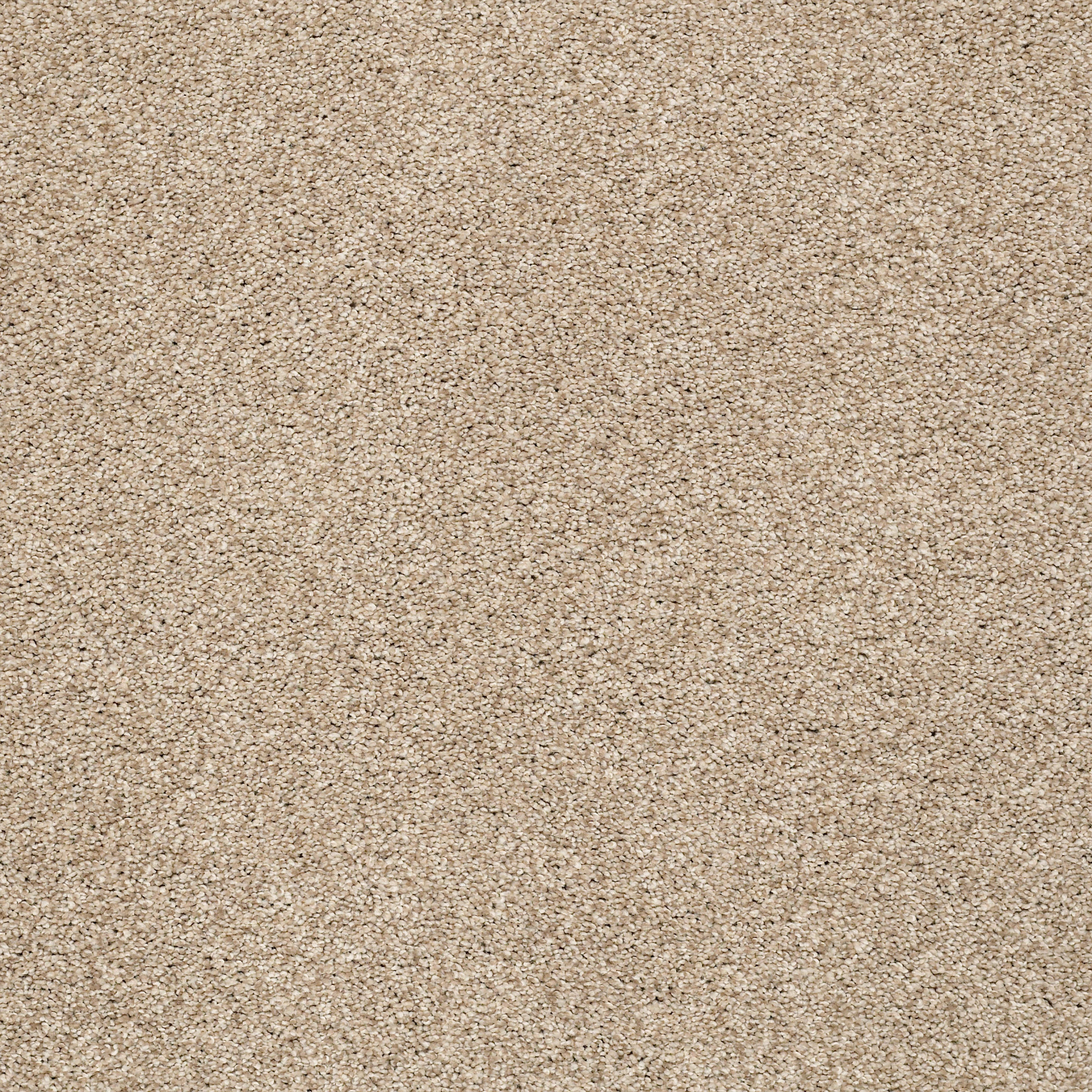 TONAL COMFORT BLUE WALK ON THE BEACH MAIN