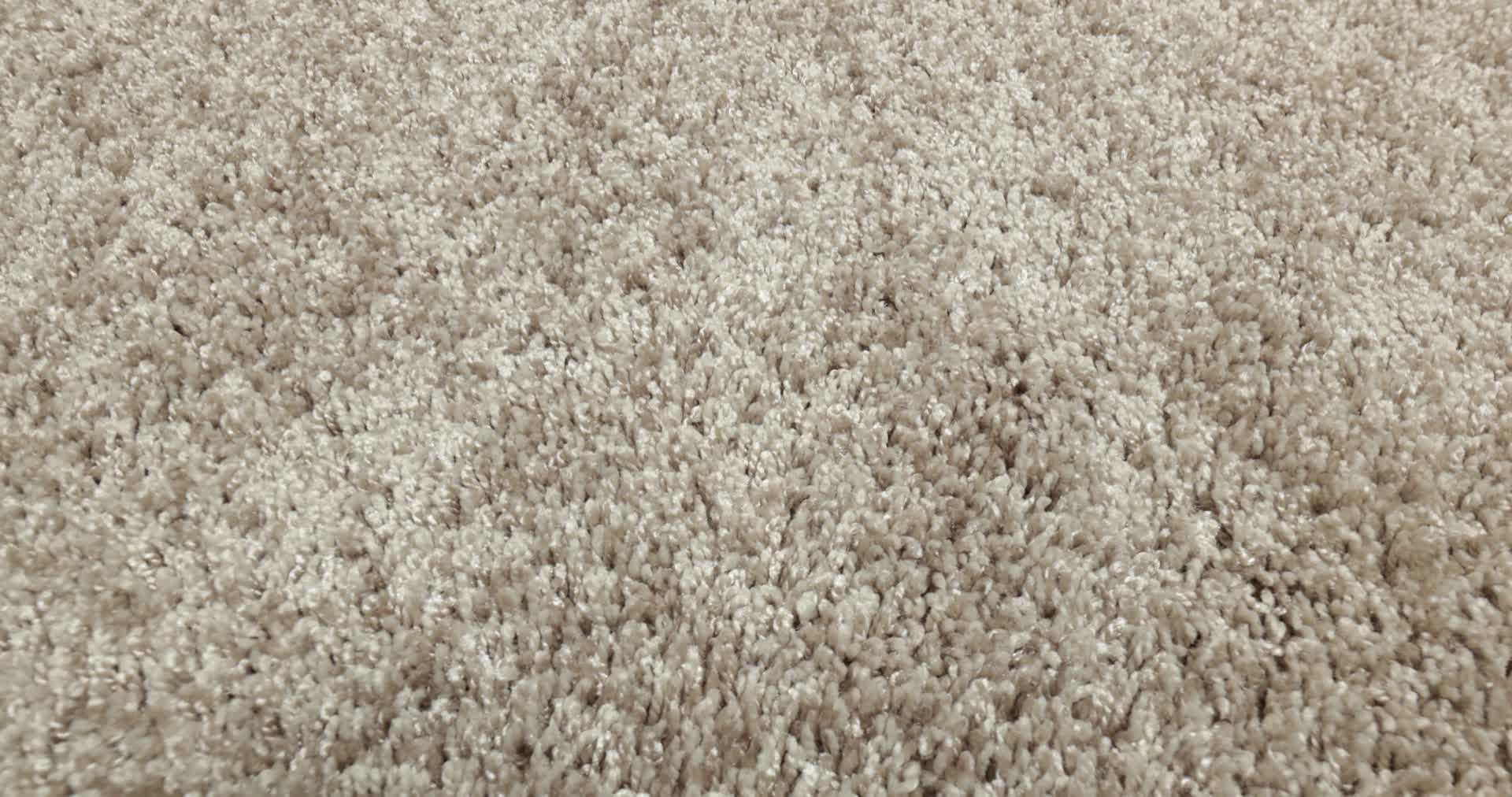 COLOR FLAIR OYSTER 360PROD