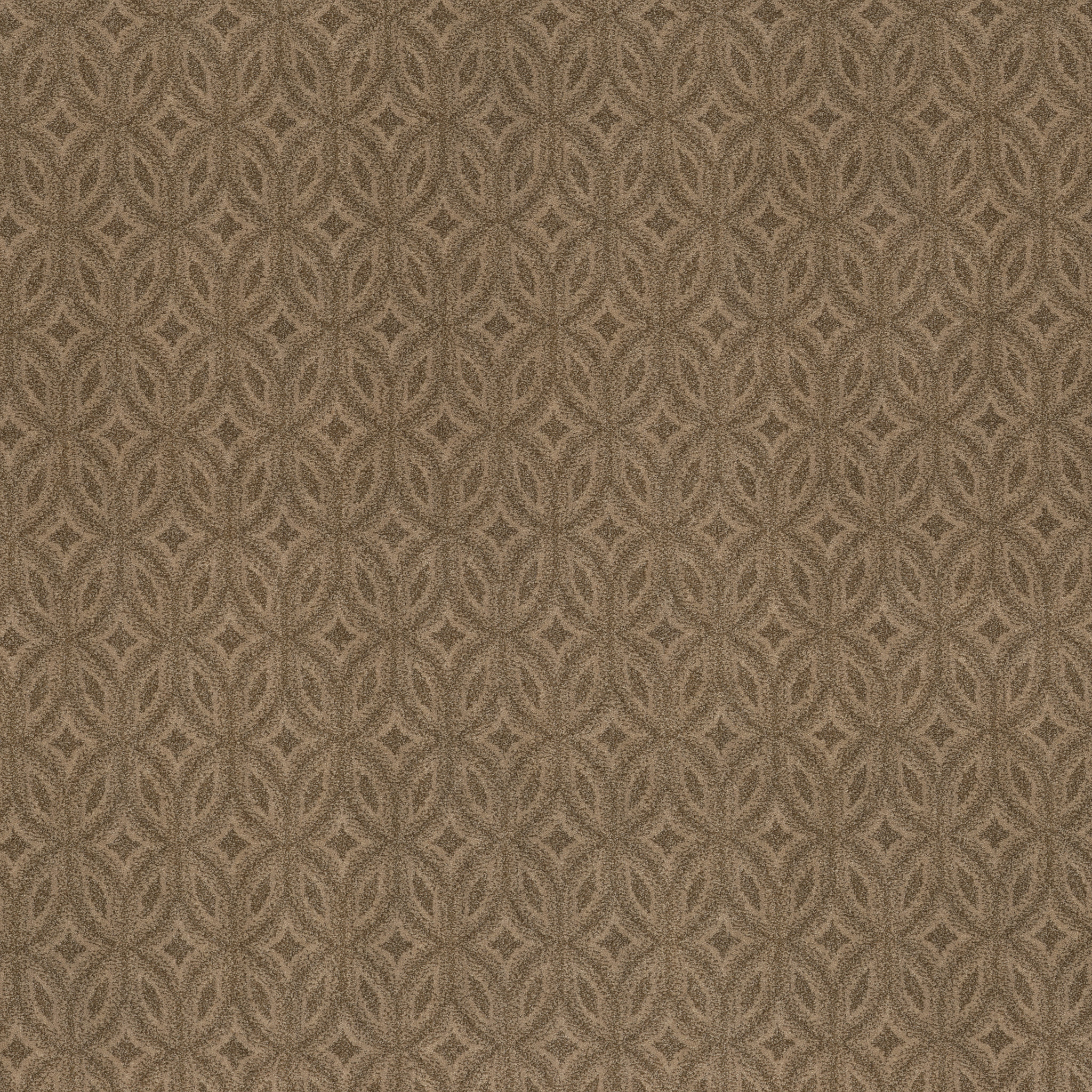 ENLIGHTENED OPEN CANYON MAIN