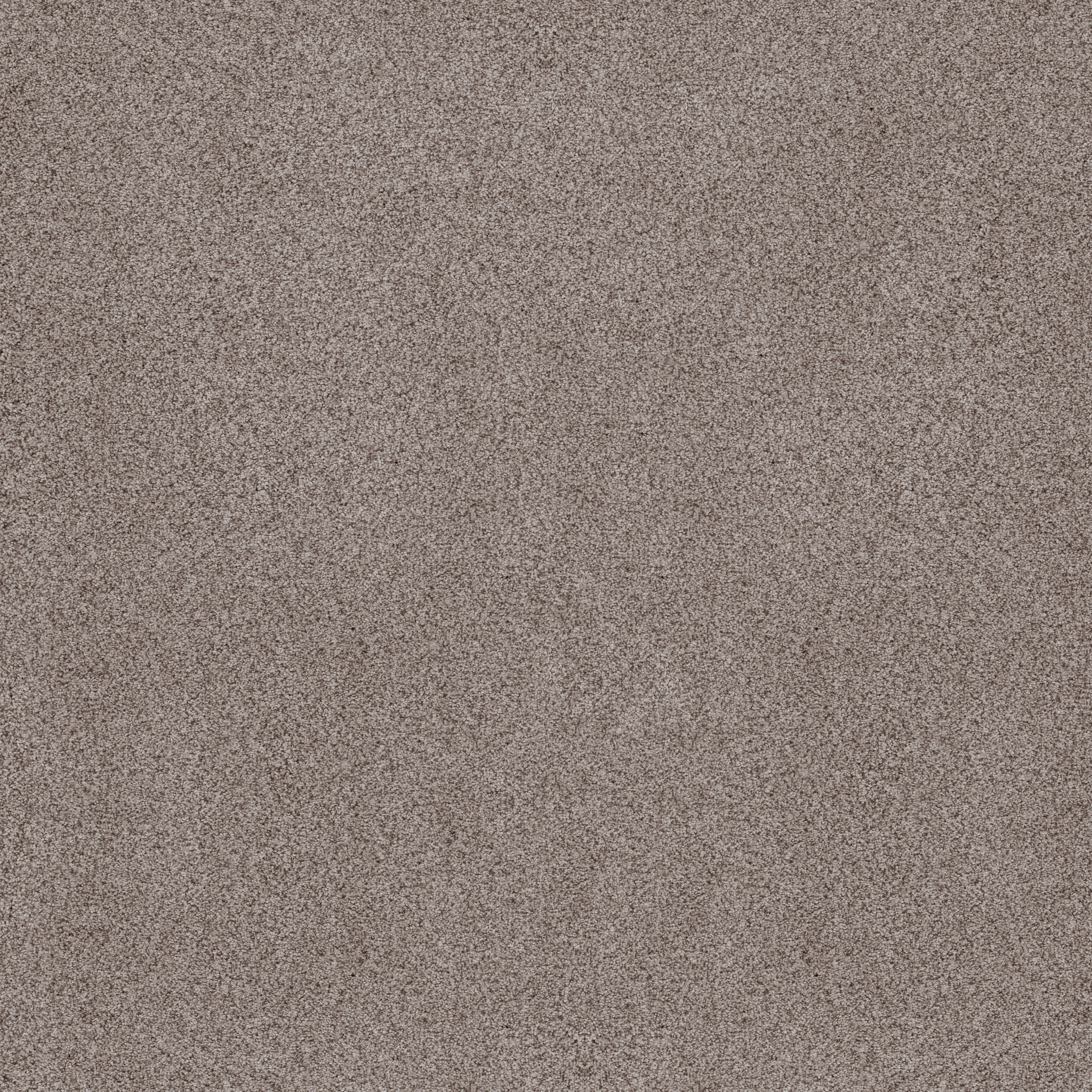 SUMPTUOUS I HERITAGE TAUPE MAIN
