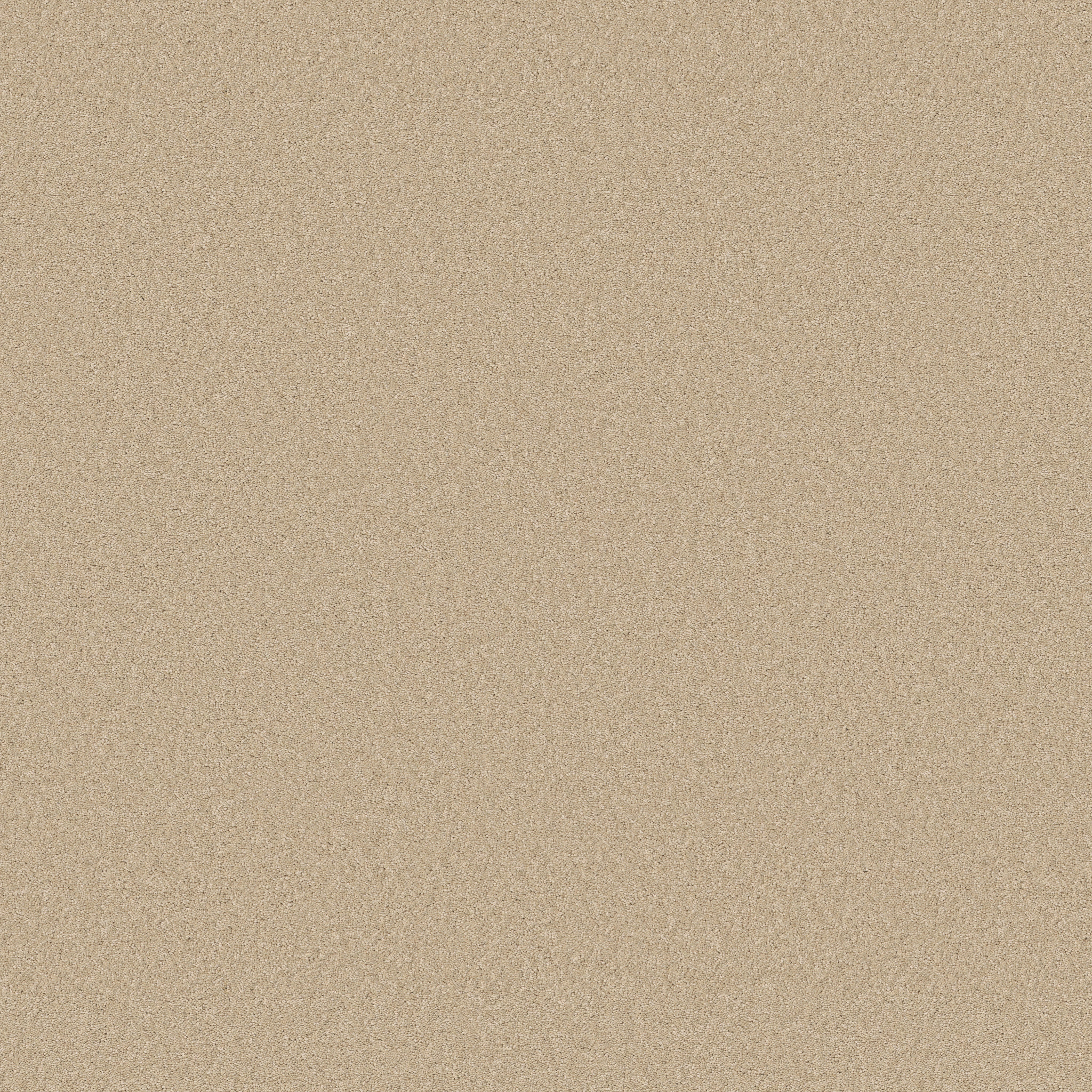 ENDURING CHARM PAPYRUS MAIN