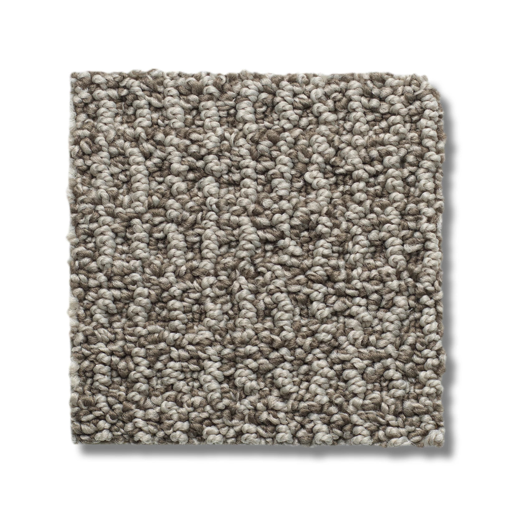 AG Relaxed Living MUSHROOM SWATCH