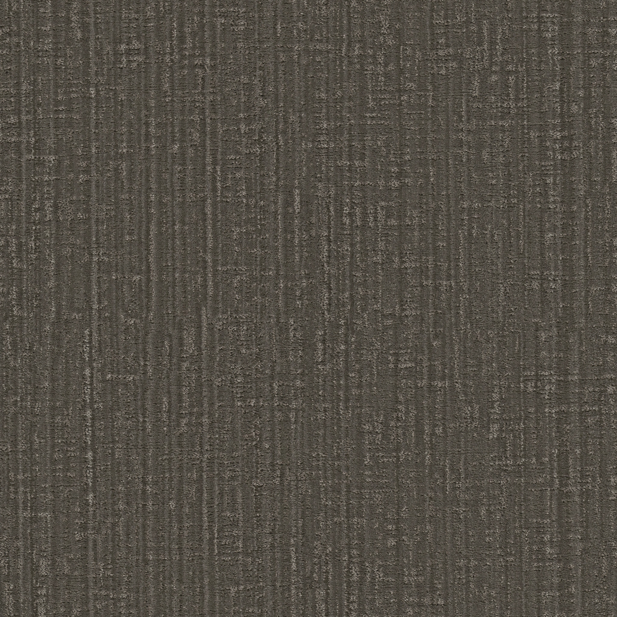 SHADY STROLL TREE BARK MAIN