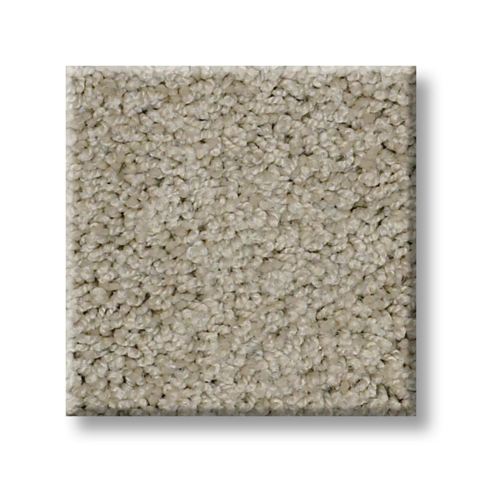 AG TIMELESS CREEK BED SWATCH
