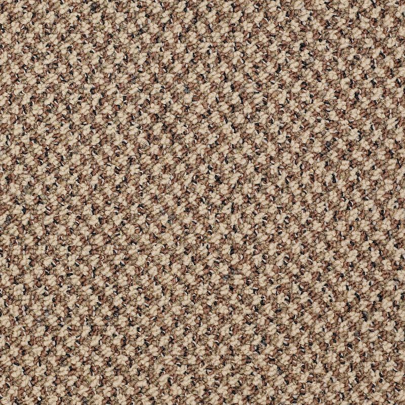 New Basics Broadloom Carpet in Quick color, 100% Nylon, 12ft width, Graphic Loop construction