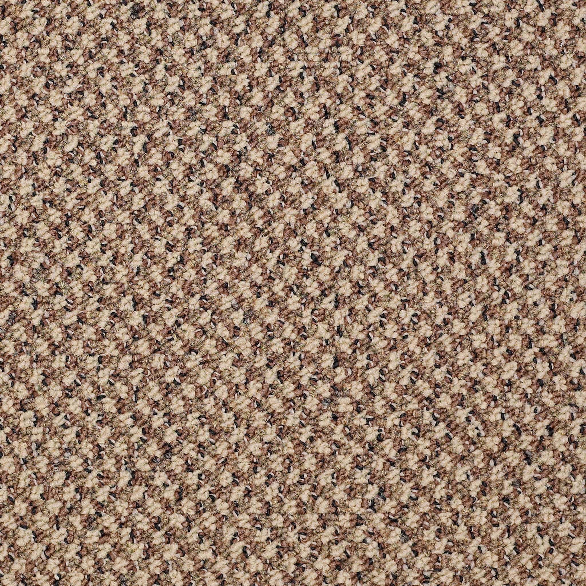 NEW-BASICS-54793-PREEMINENCE-93200-main-image