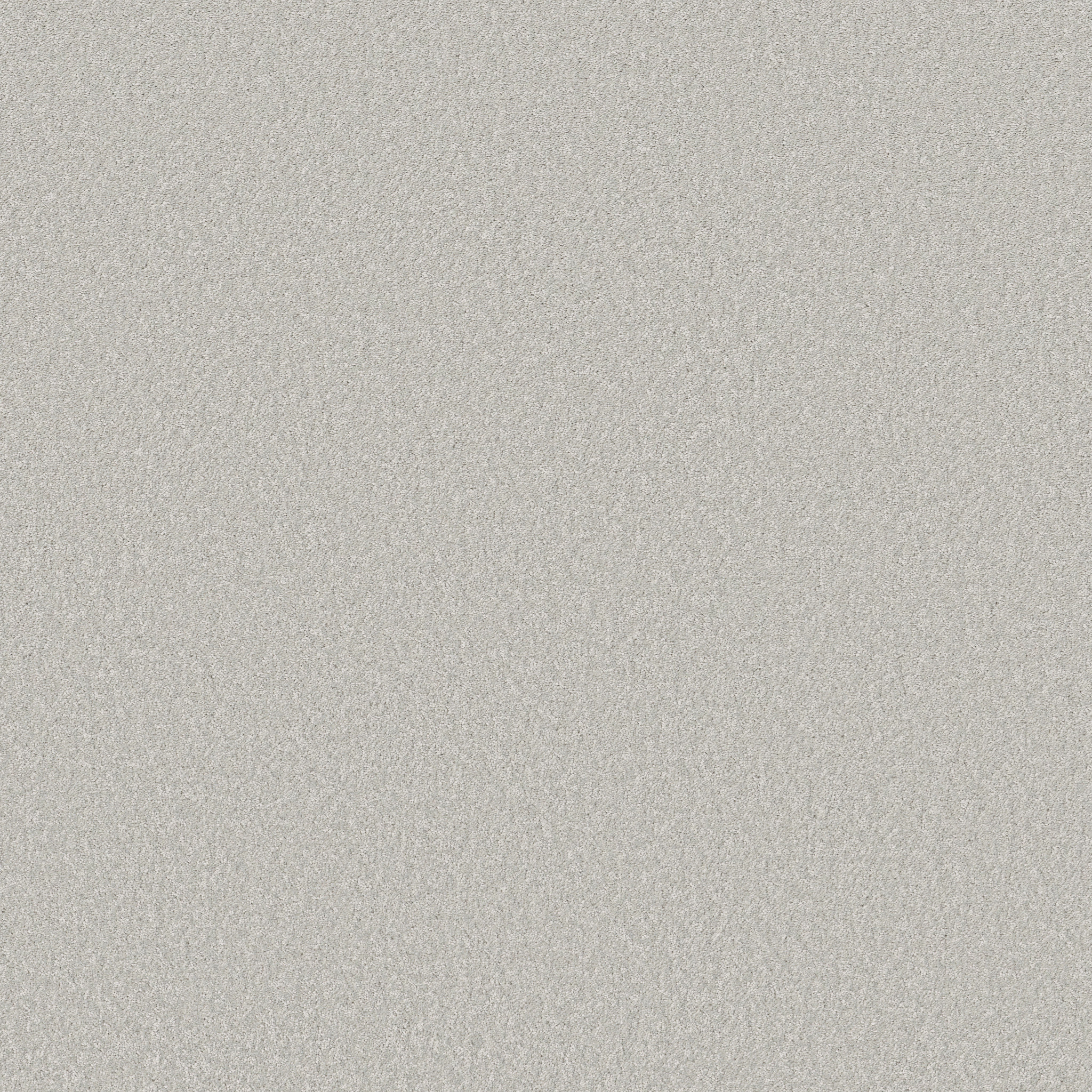 WAY TO GO I MISTY MAIN