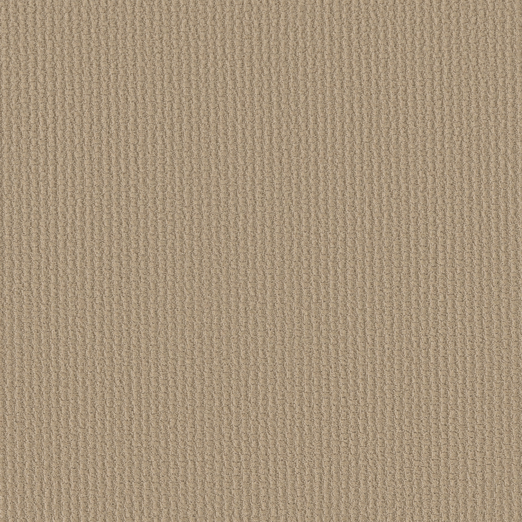 COMPLETE CONTROL SOFT HONEY MAIN