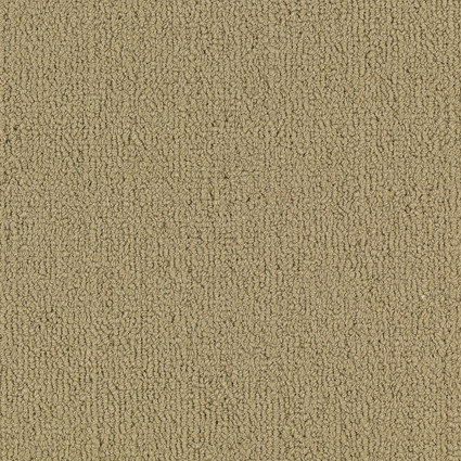 COLOR-ACCENTS-BL-54584-GILDED-62103-main-image