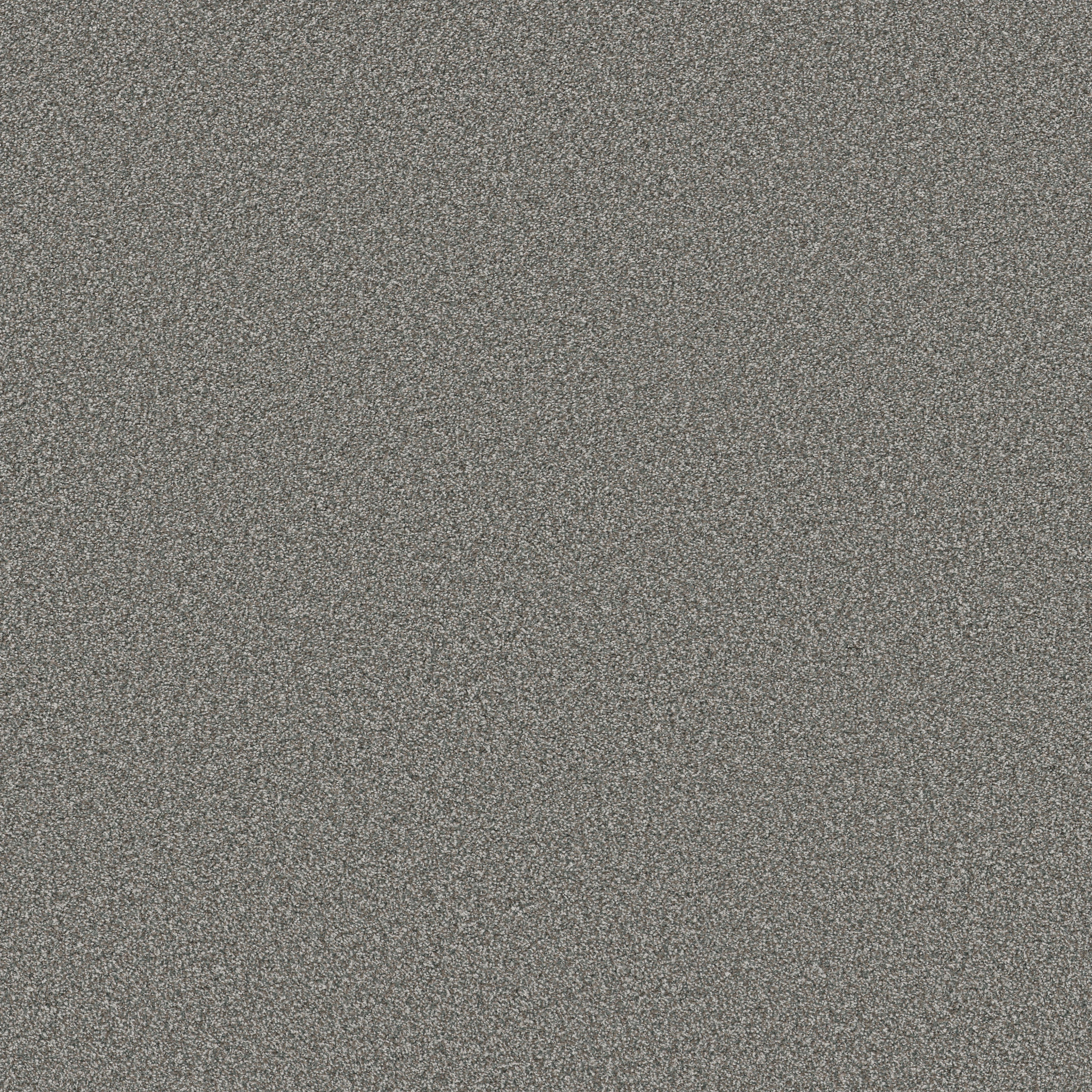 TWEED COMFORT I FIRST CLASS MAIN