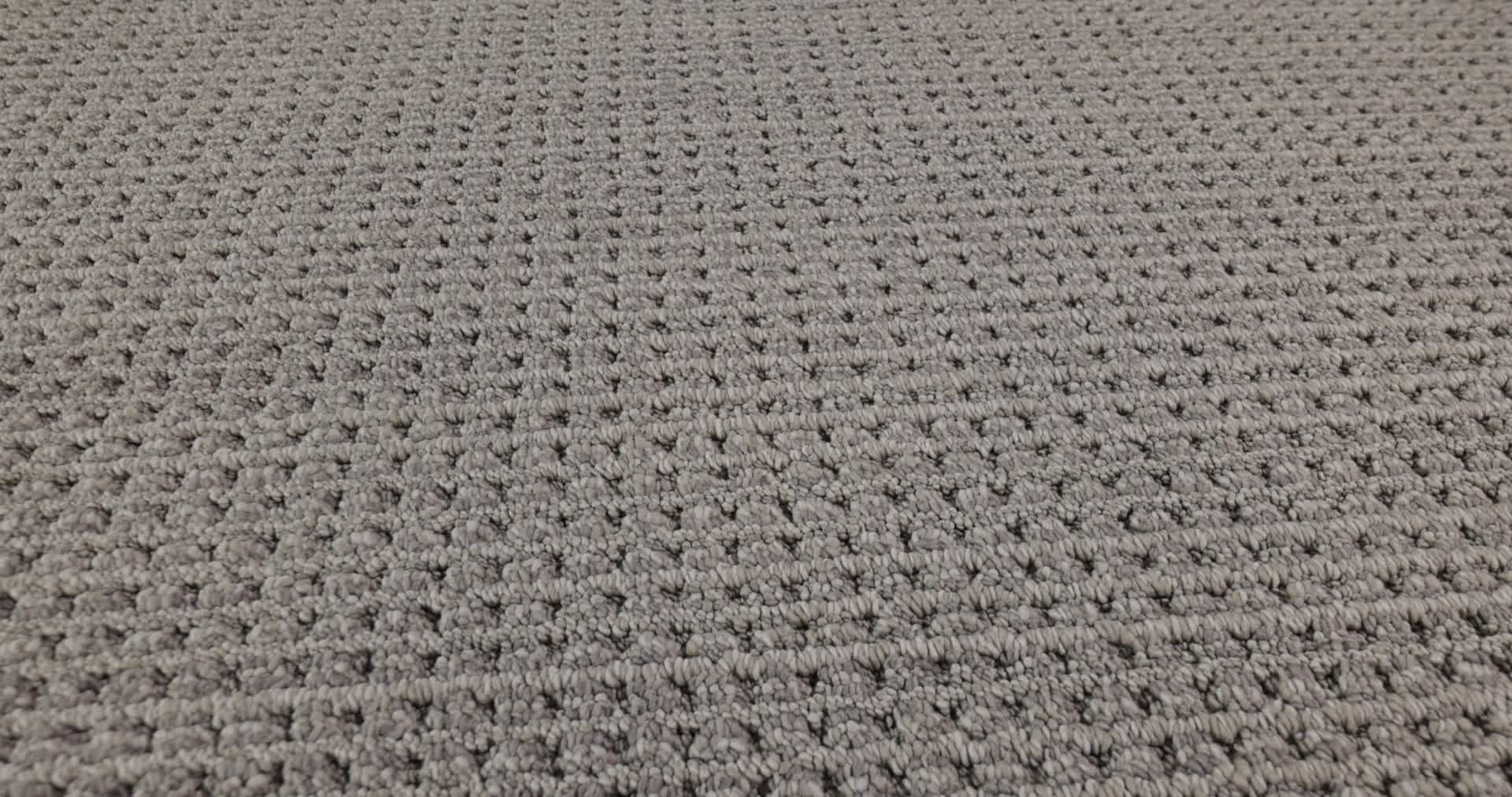 FINELY DETAILED ESSENTIAL GRAY 360PROD