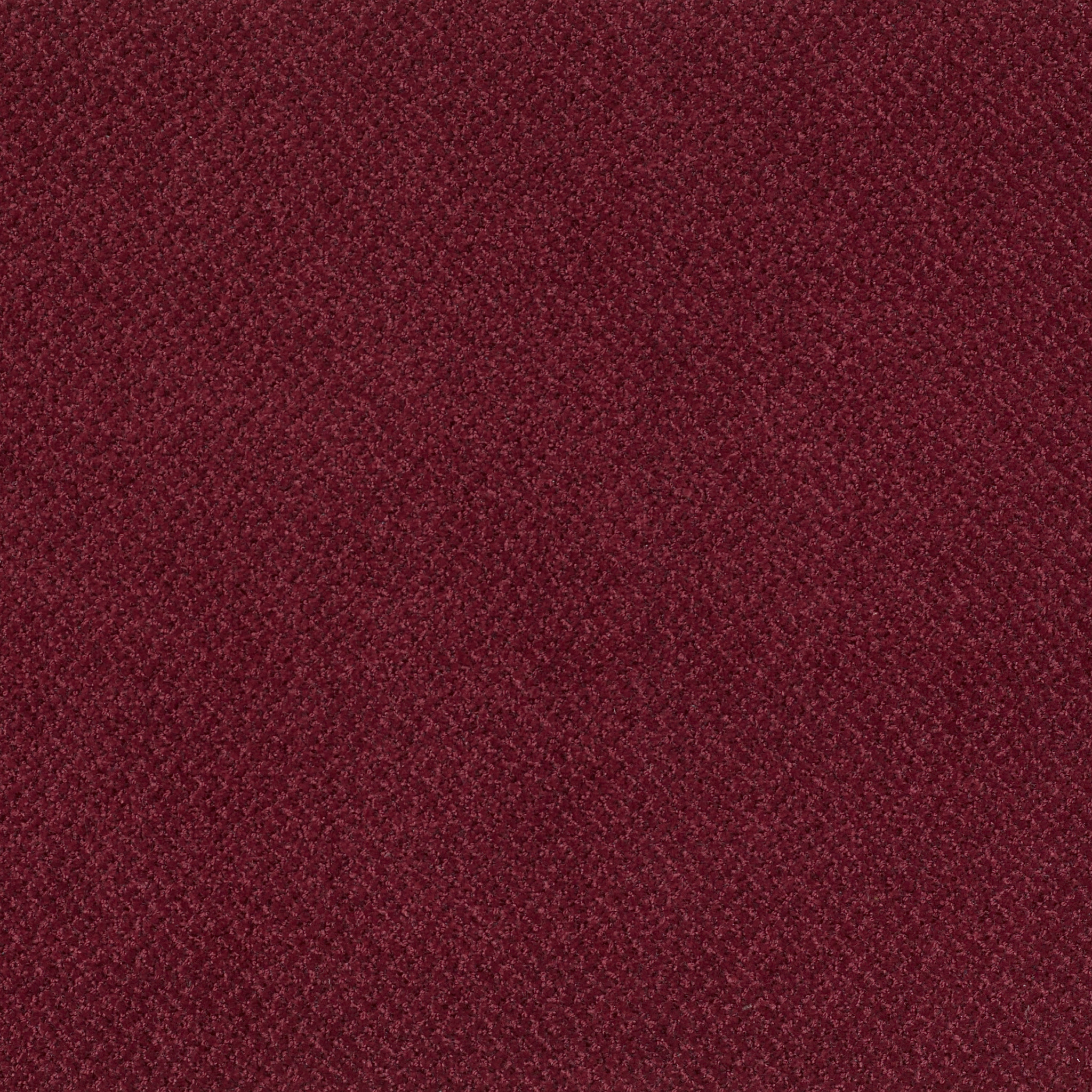 PRIMUS-54510-FOREMOST-10810-main-image