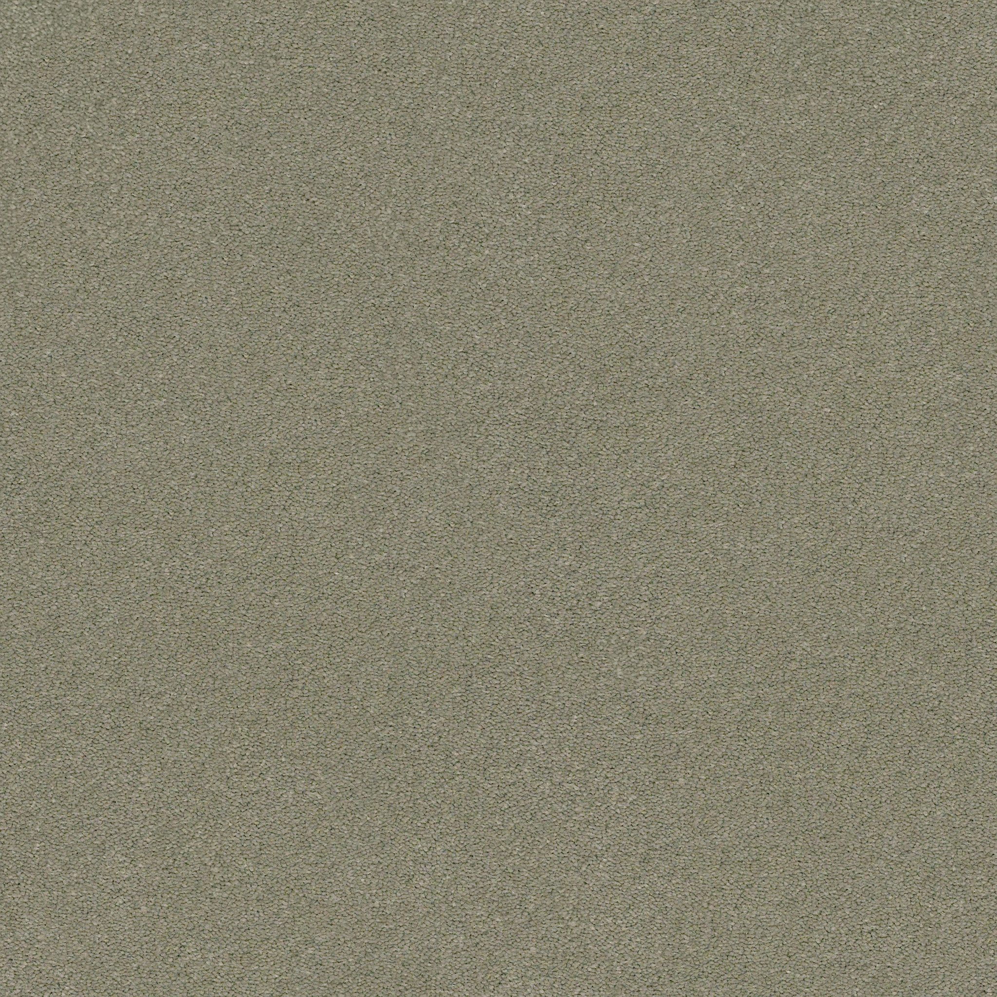 PERFECT CHOICE HAZY SKIES MAIN