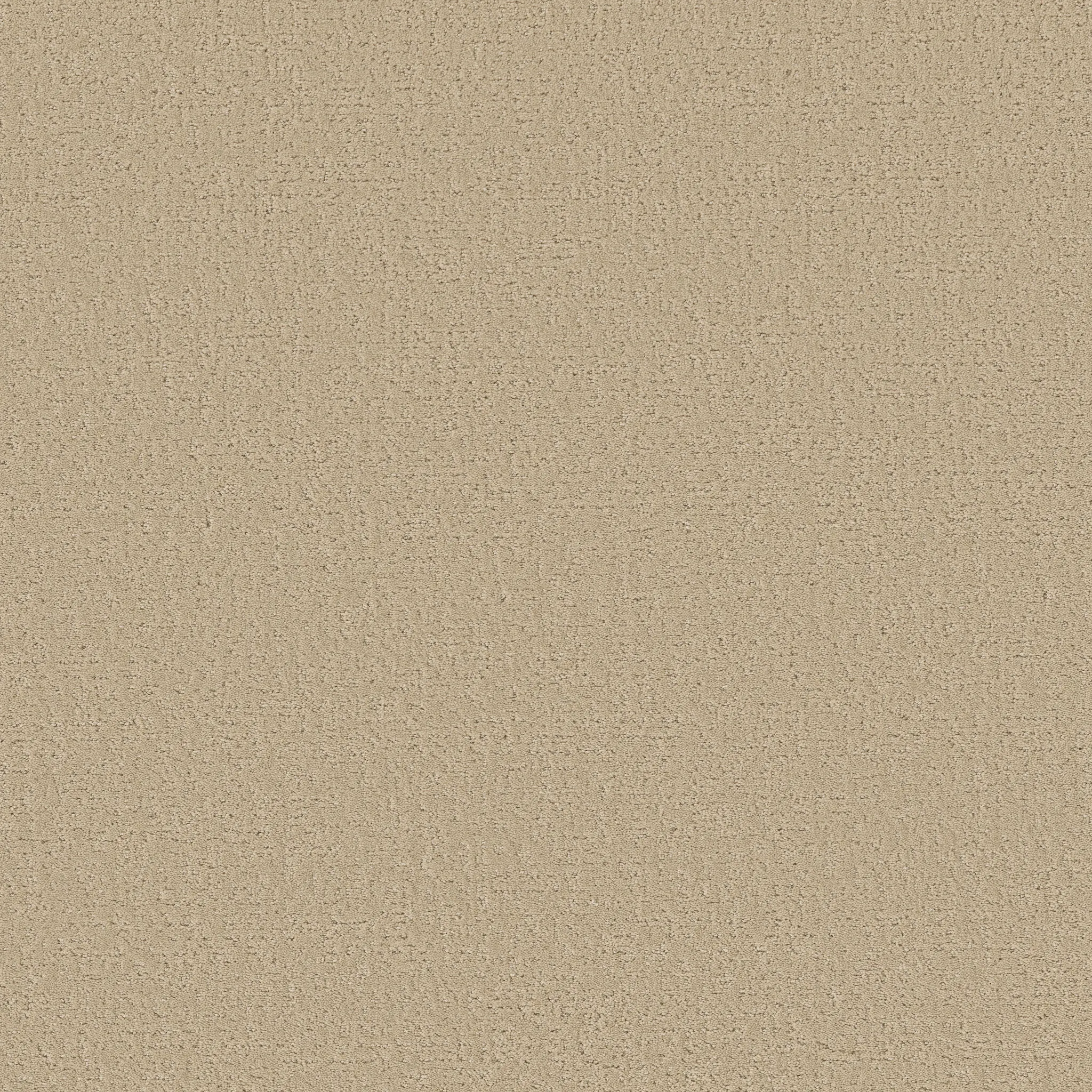 sun-kissed-experience-the-warmth-and-beauty-of-texture-broadloom-carpet-flooring