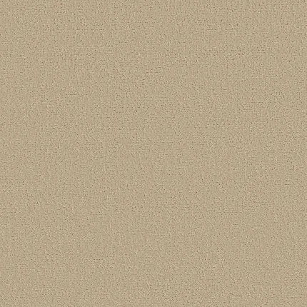 Sun Kissed: Experience the Warmth and Beauty of Texture Broadloom Carpet Flooring sun-kissed-experience-the-warmth-and-beauty-of-texture-broadloom-carpet-flooring