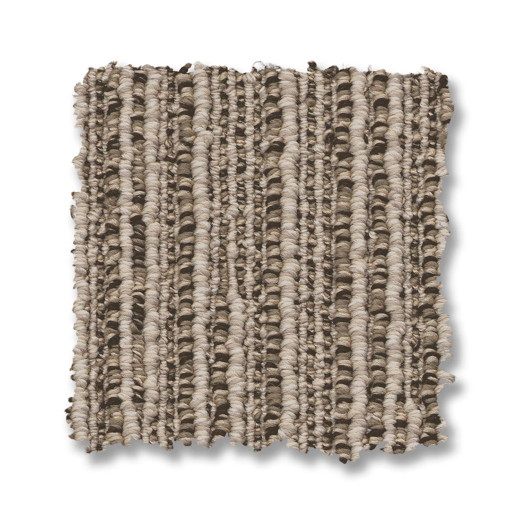 CHASE DESERT PALM SWATCH