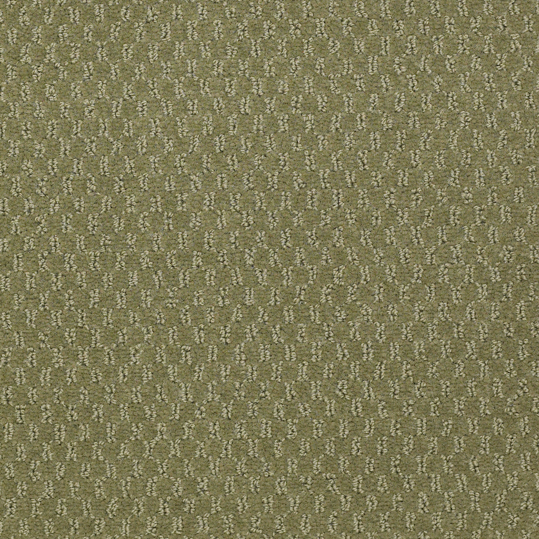 ELEMENTS-Q0421-DESERT-CACTUS-21351-main-image