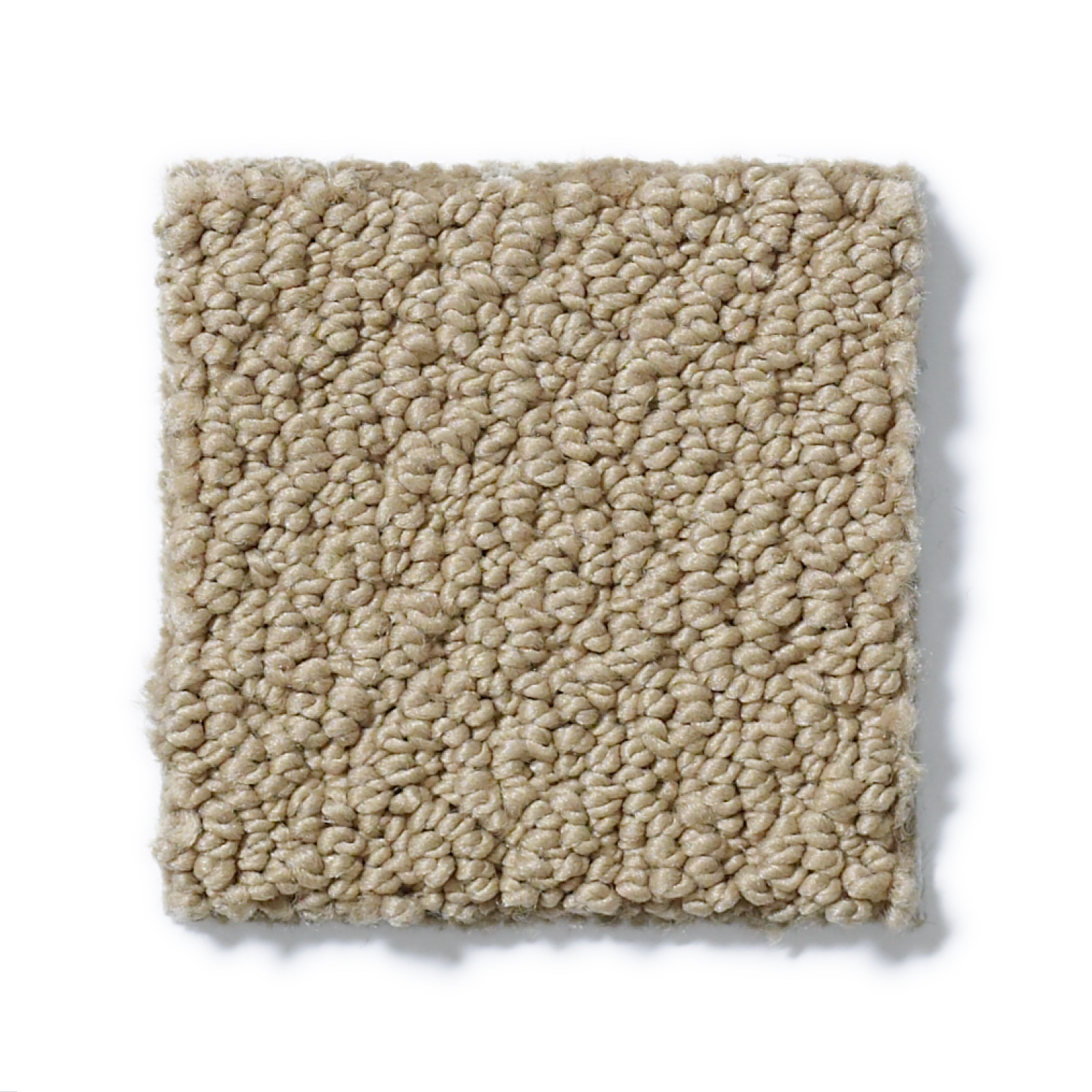 TRUE REFLECTIONS LOOP CAPPUCCINO SWATCH