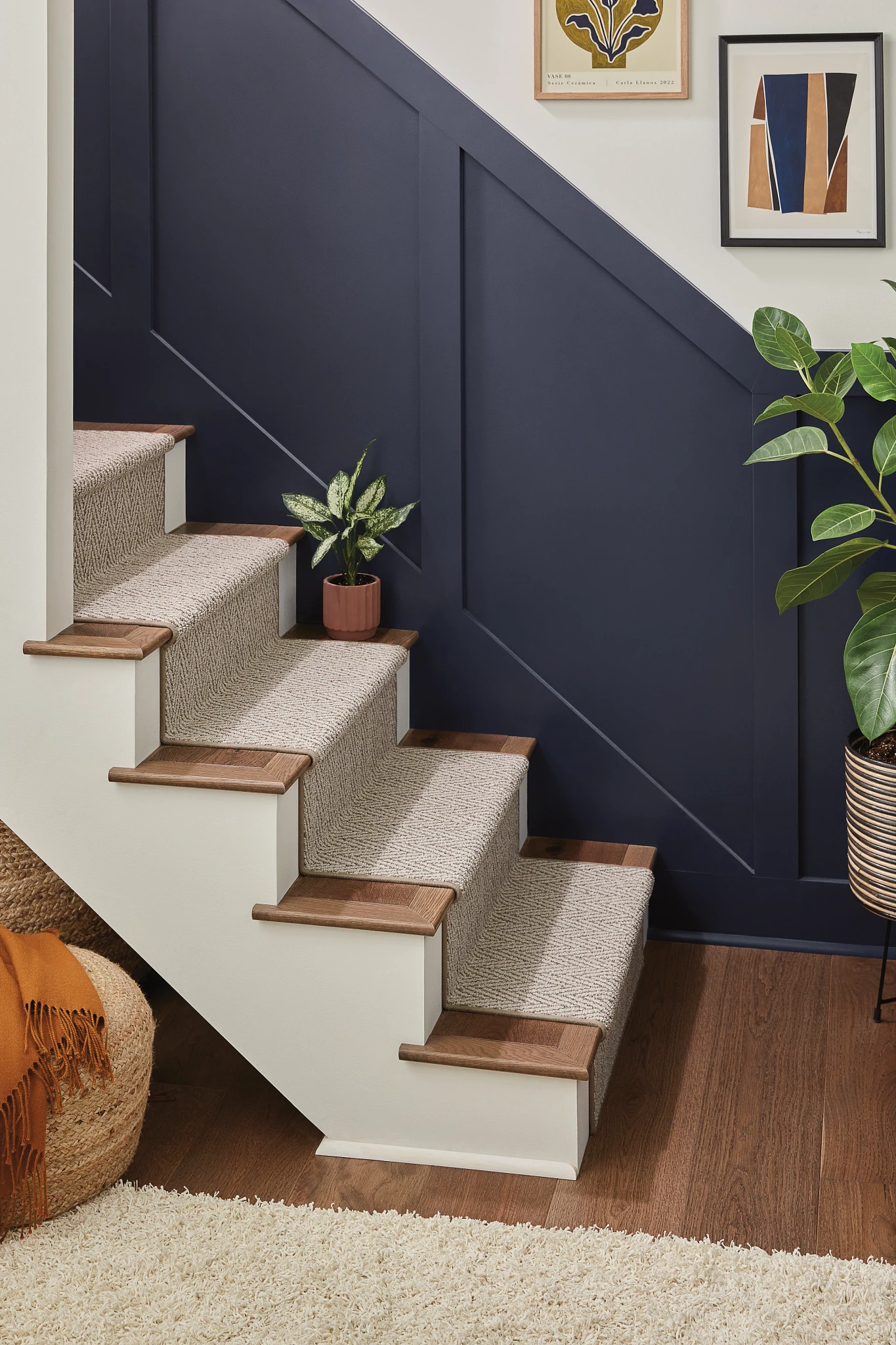 Elegant beige carpet on staircase with dark blue walls and hardwood flooring in a modern home interior