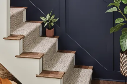 Beige Staircase Carpet and Hardwood Flooring Interior Design Elegant beige carpet on staircase with dark blue walls and hardwood flooring in a modern home interior