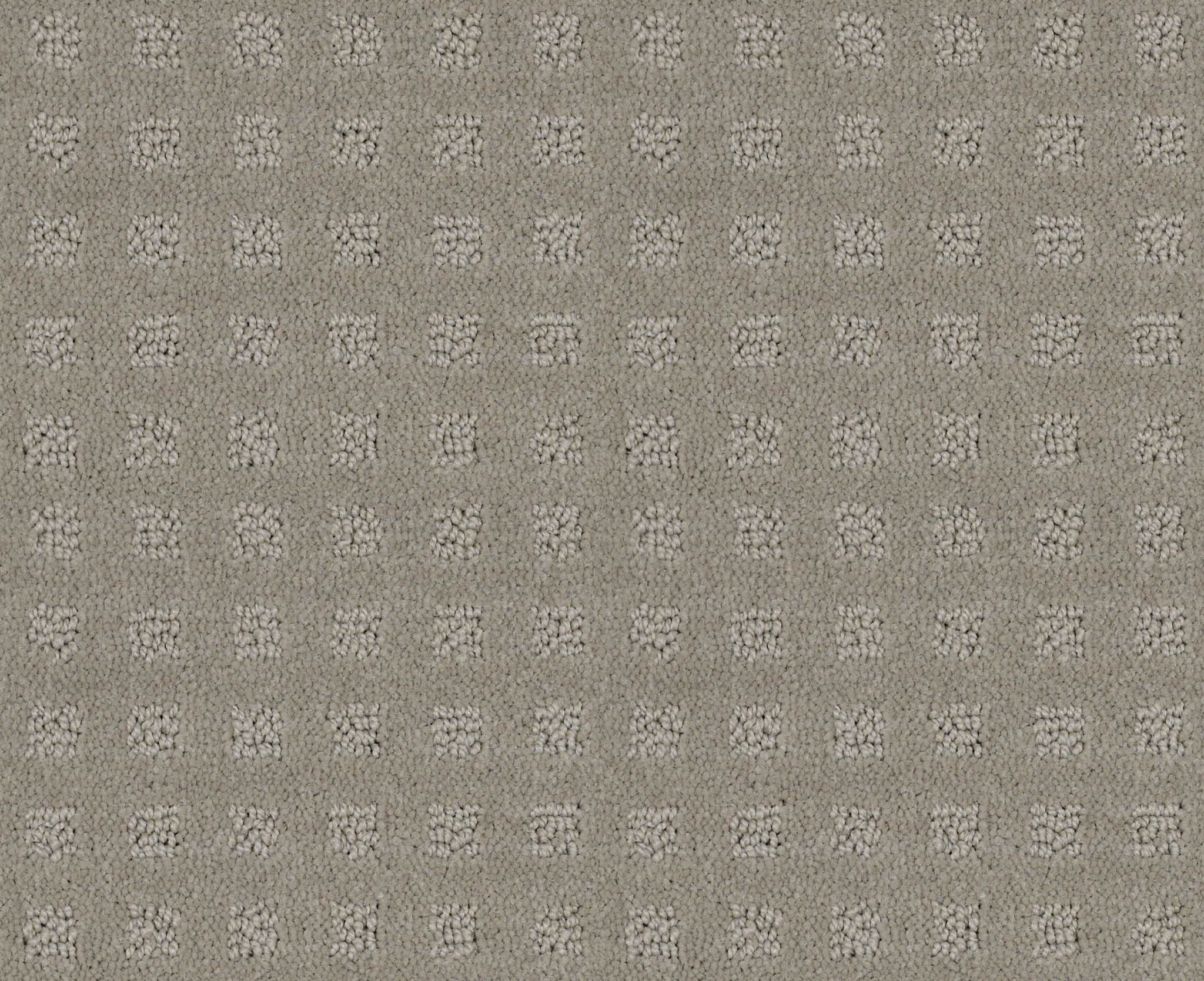 ALLURING DISPOSITION LADY IN GRAY MAIN