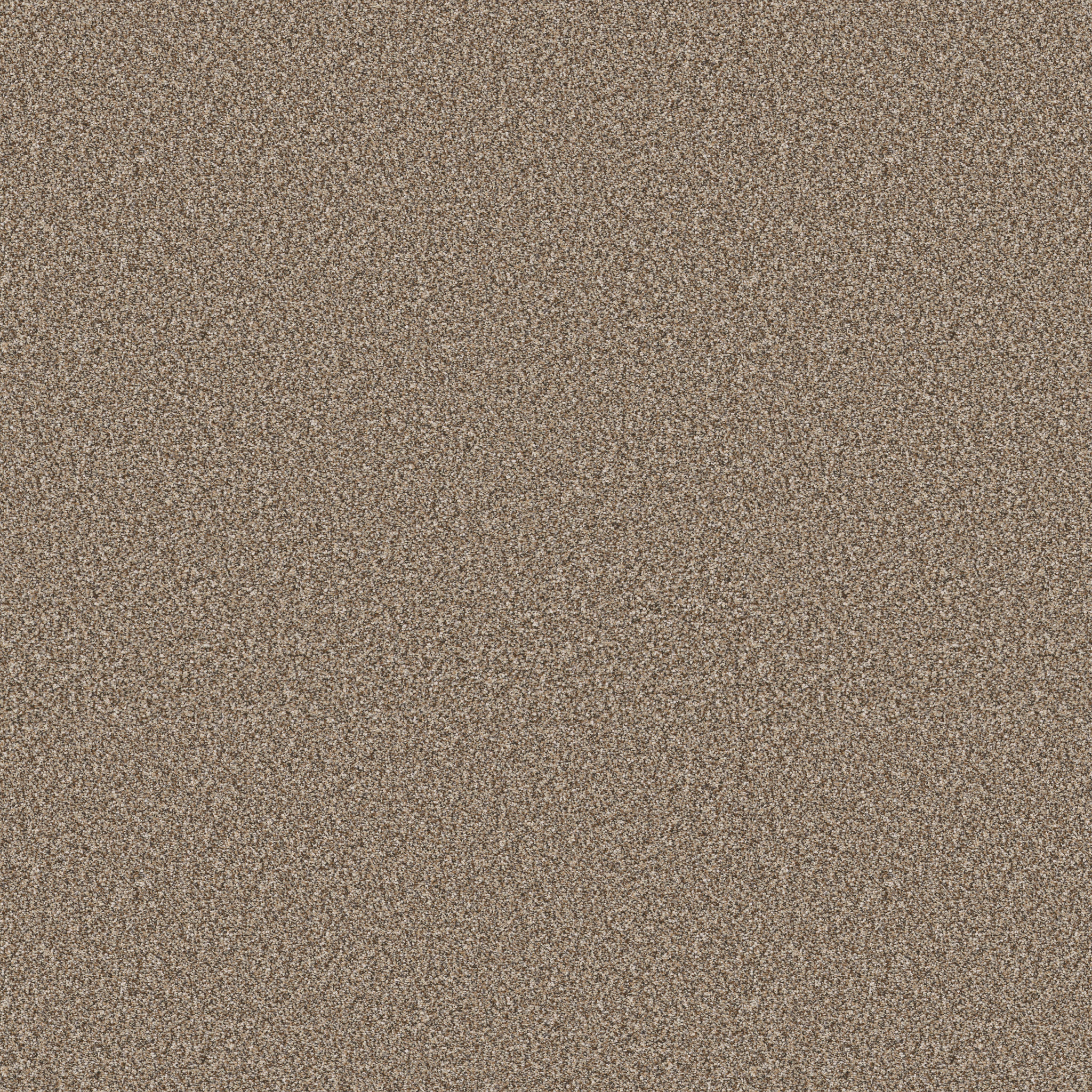 REFINED BEAUTY RODEO MAIN