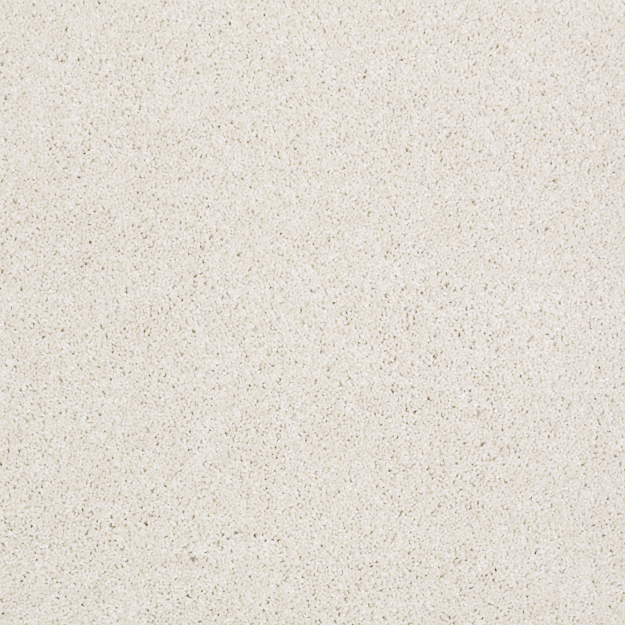 ALWAYS READY I SENTIMENTAL MAIN