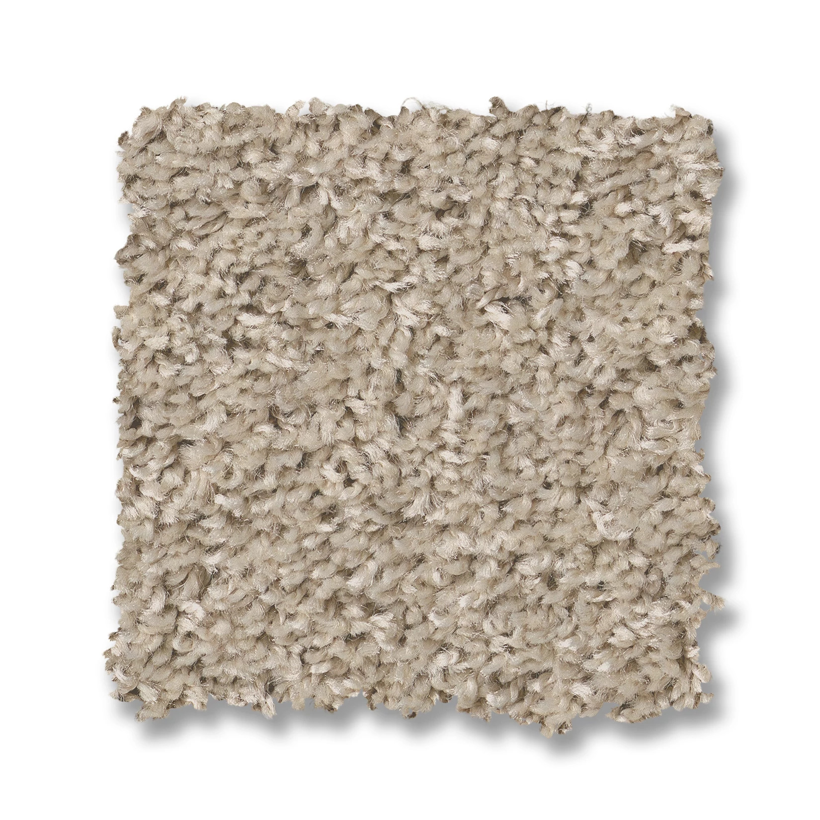 SHAKE IT UP (S) SEA FLOOR SWATCH