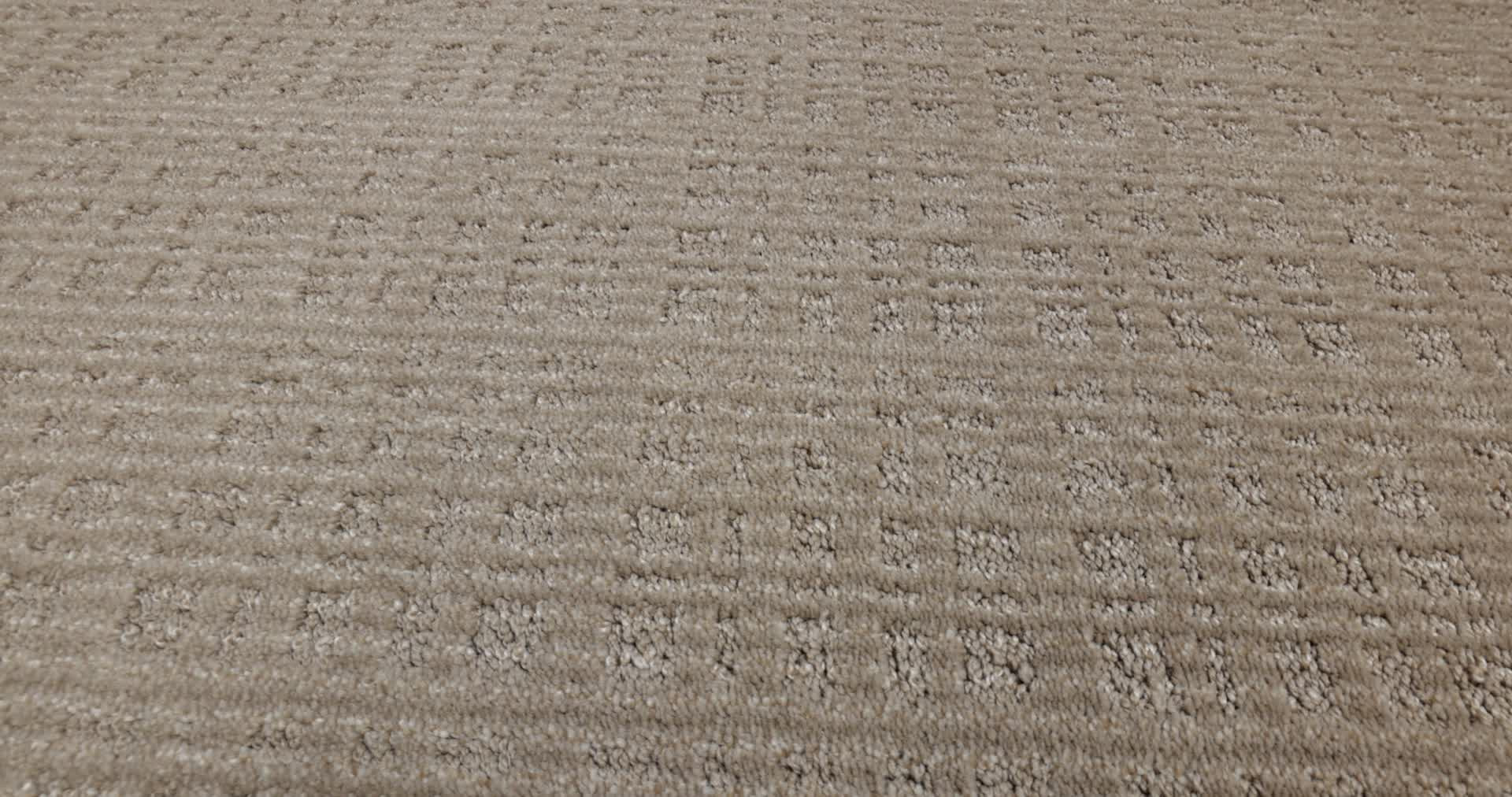 PURRSUASION FAVORITE TAN 360PROD