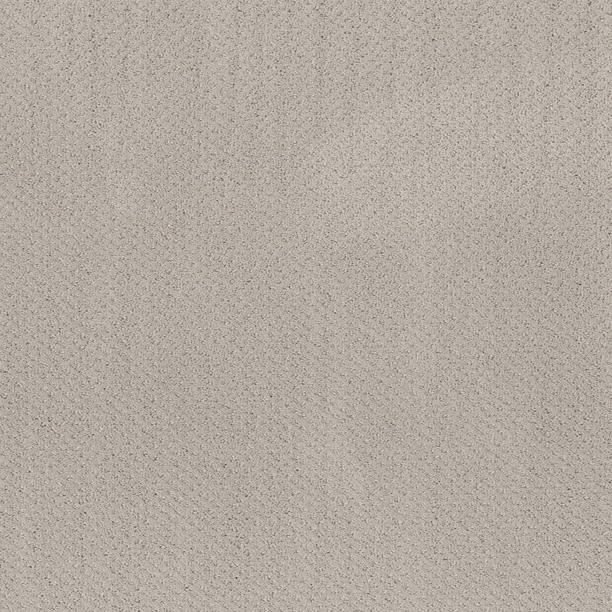 MAINSTAY SPLIT SEDIMENT MAIN