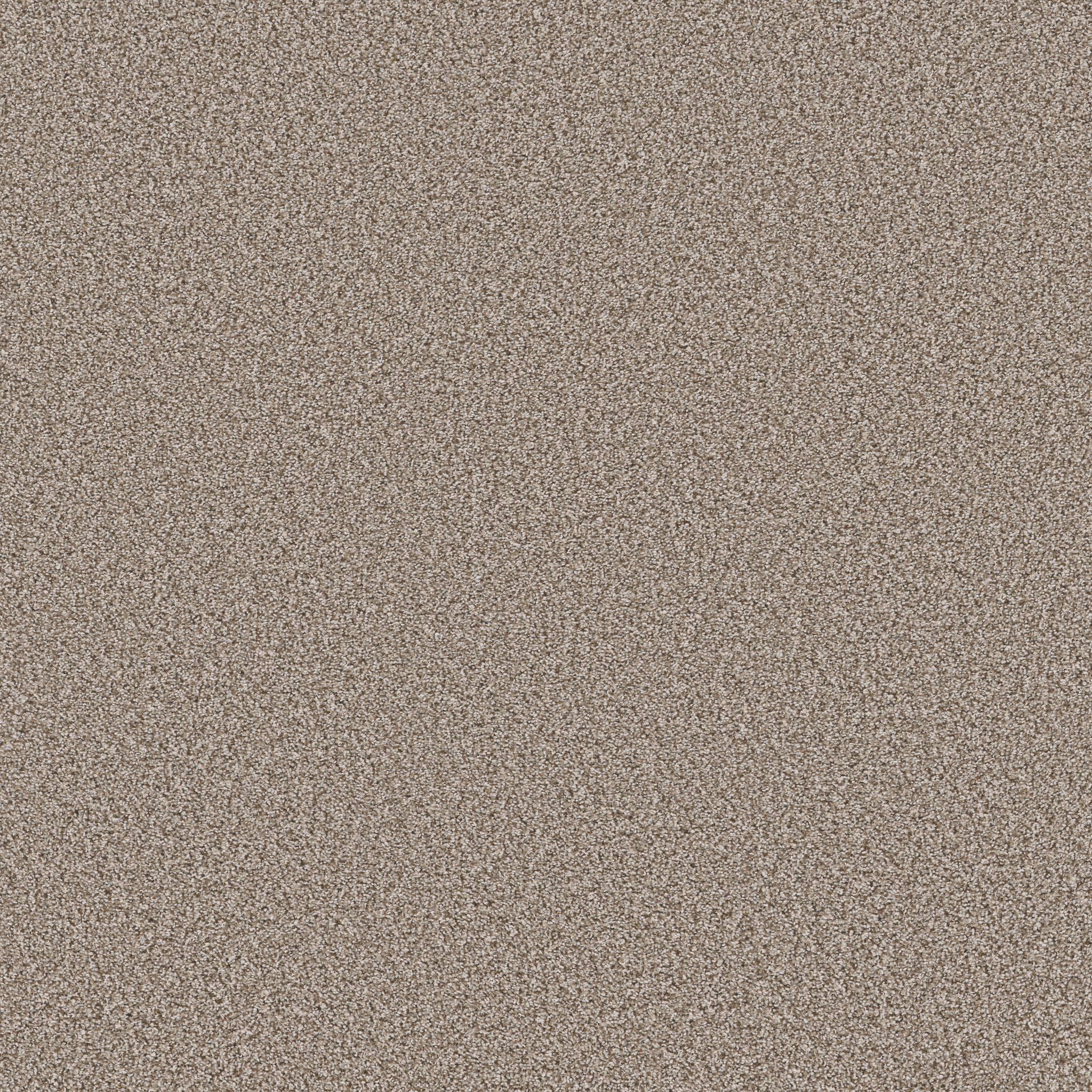 BEST YET TIMELESS TAN MAIN