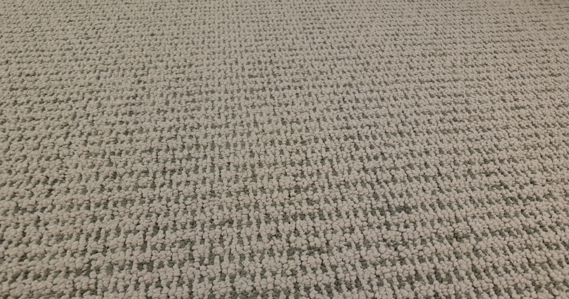 LAINE PALMETTO 360PROD