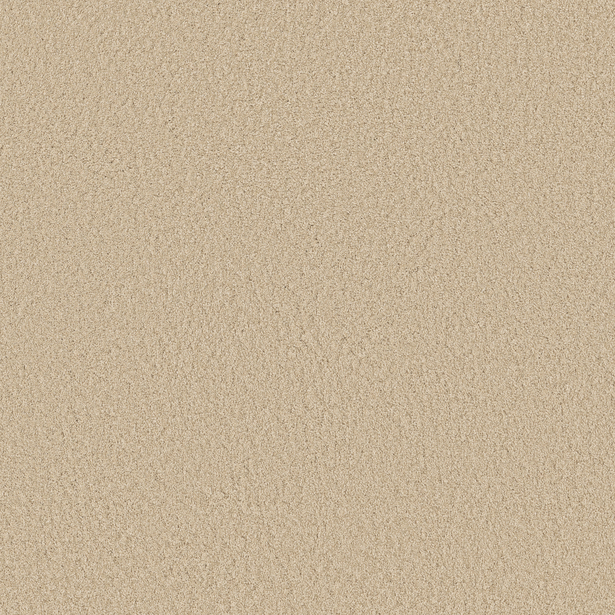 GRAND IMAGE III CASHEW MAIN