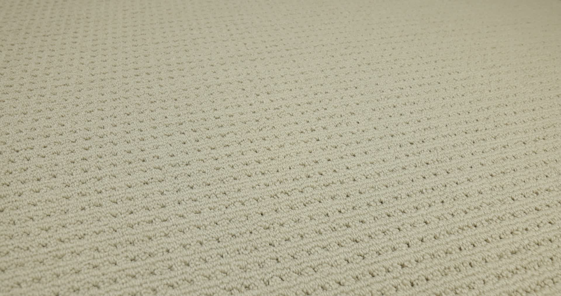 SAN ANTONIO BISCUIT 360PROD