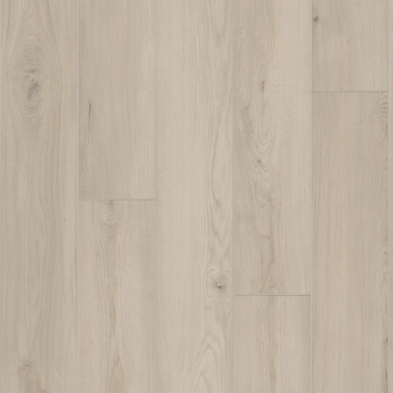 AMBITION in Silk by Shaw Floors
