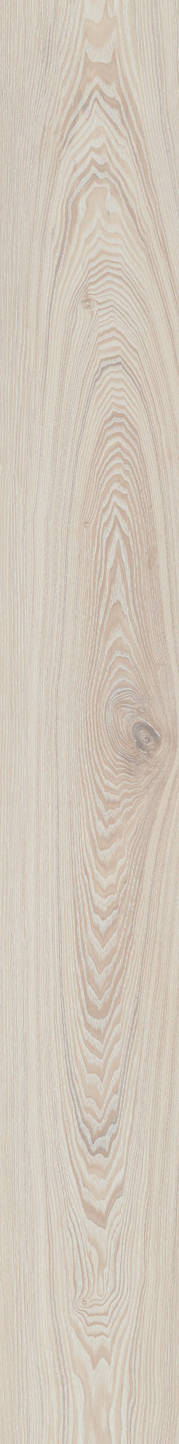 MINNESOTA ASH 03 1TO1