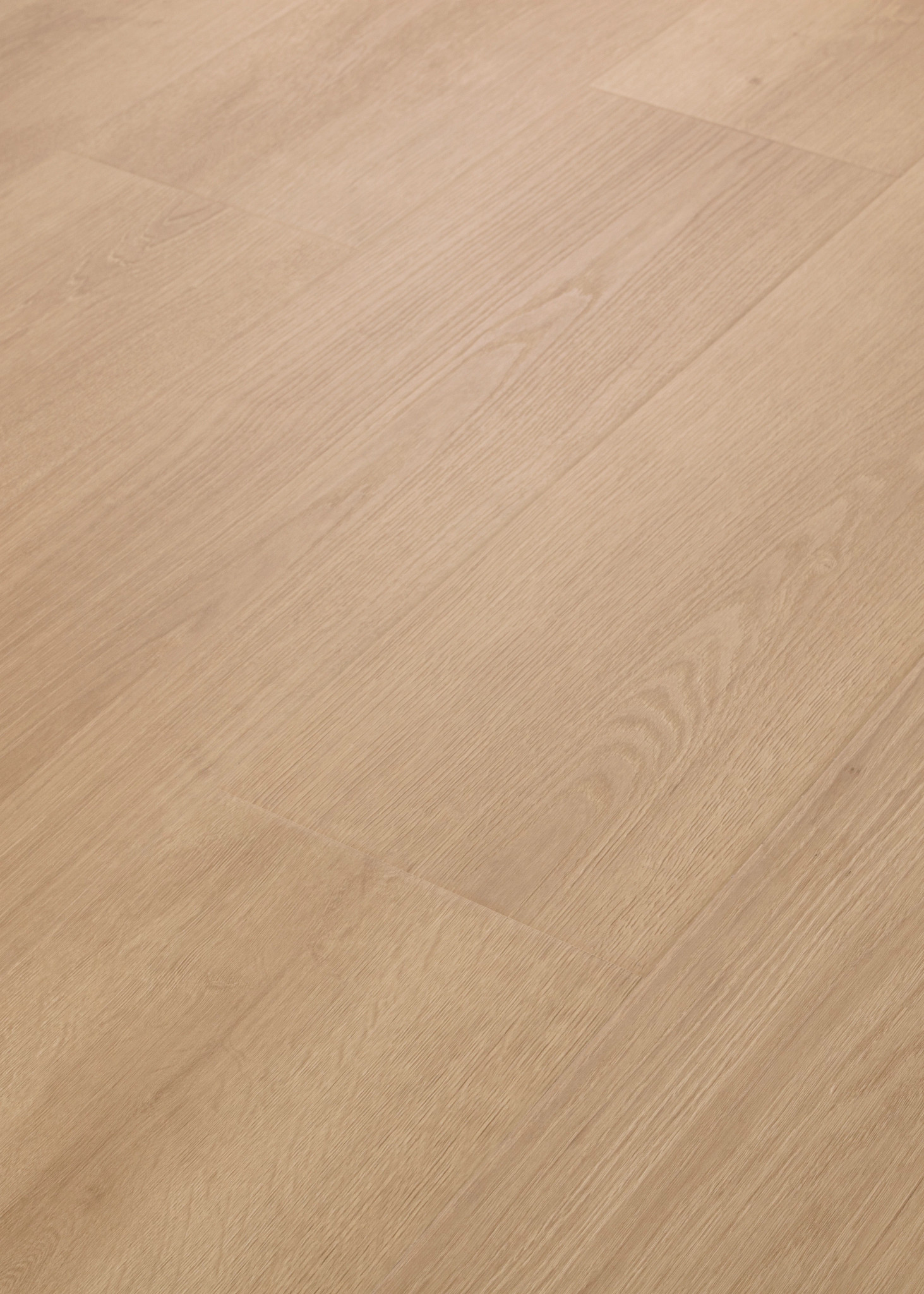 KOMONDOR BUTTERSCOTCH ANGLED