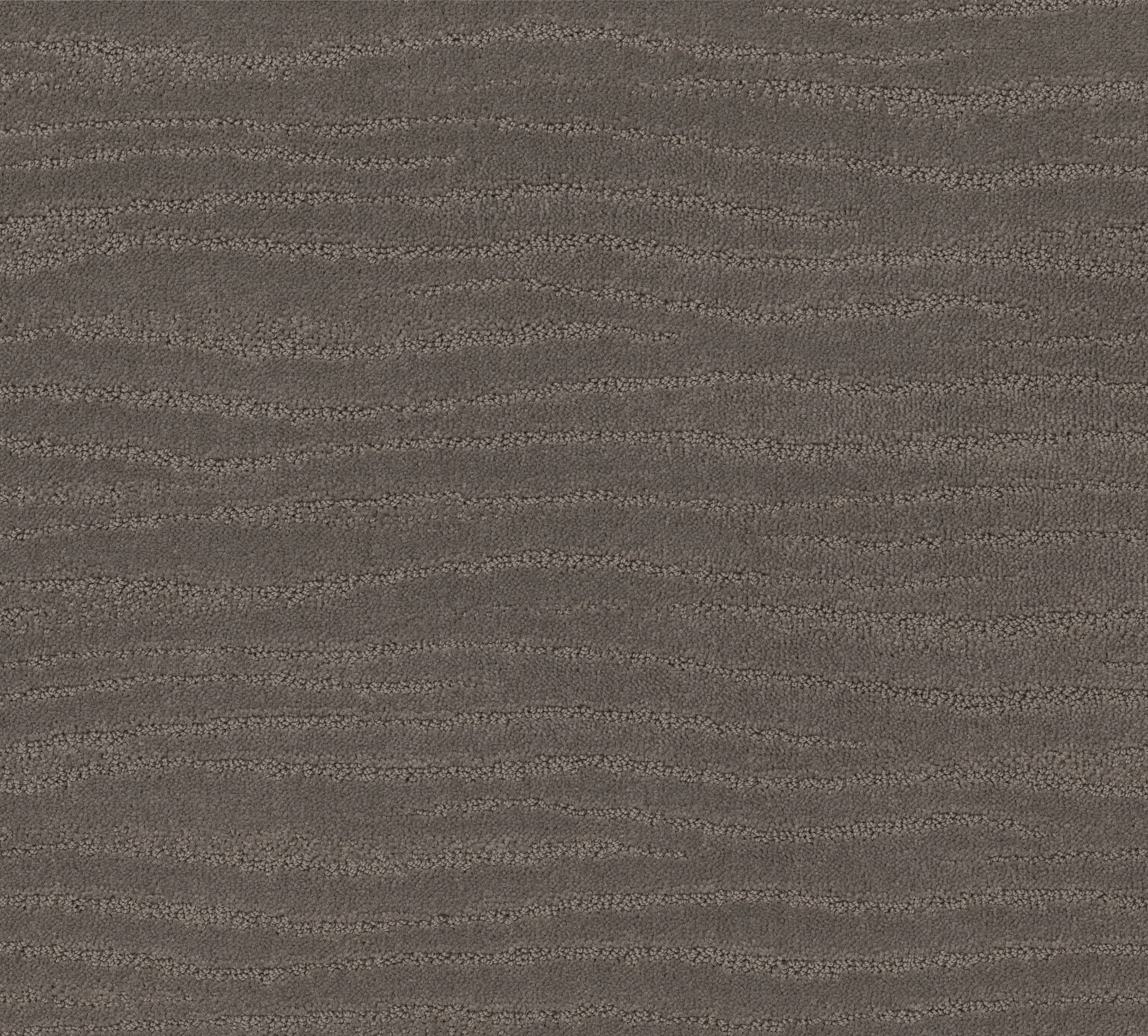 CAPISTRANO POTTING SOIL MAIN