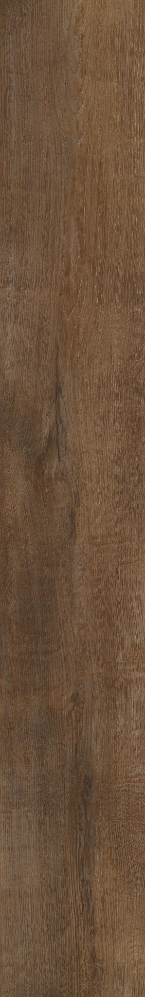 ANVIL PLUS 20 MIL HIGHLIGHT OAK 1TO1