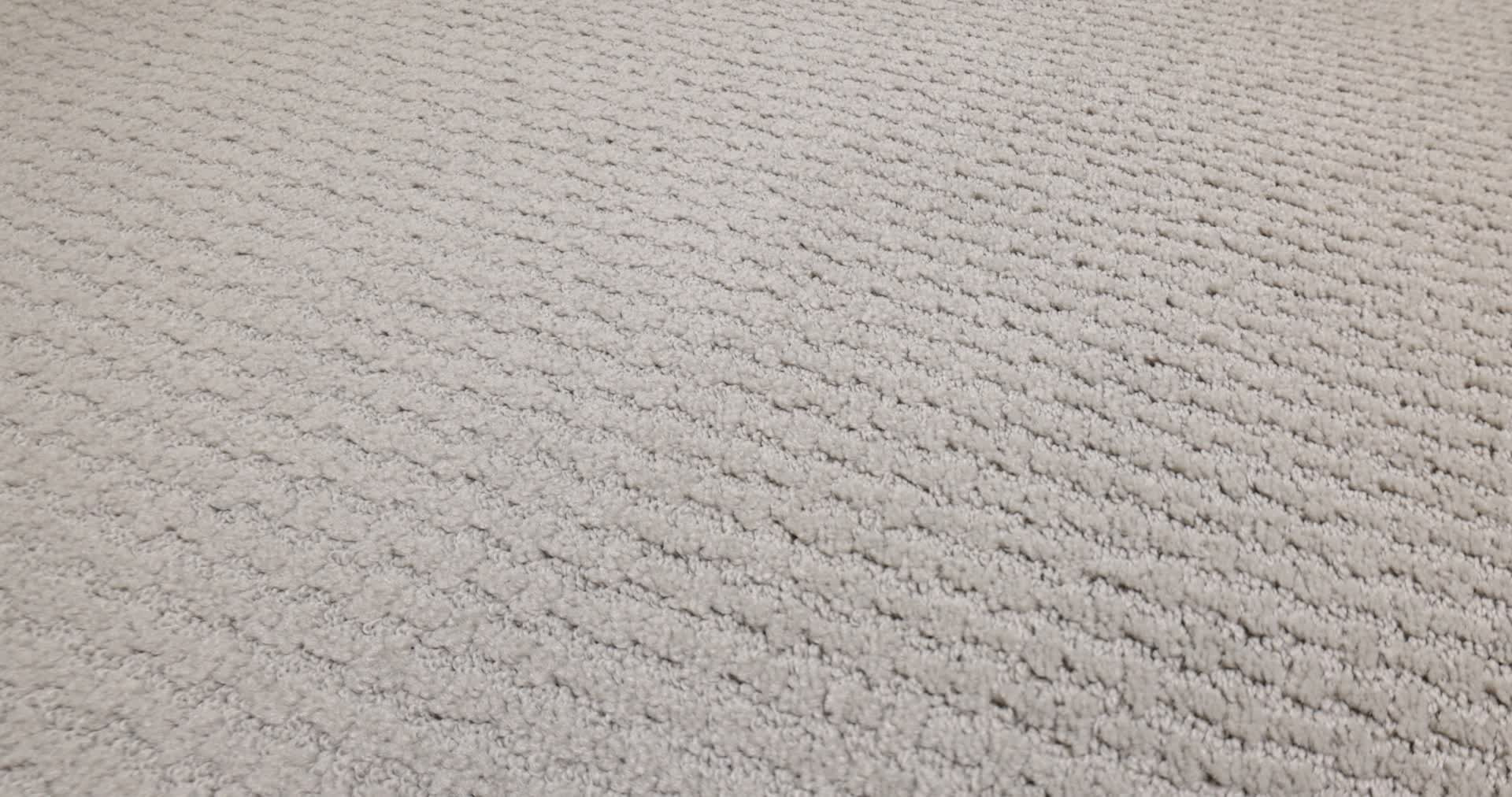 COMPLETE CONTROL SILHOUETTE 360PROD