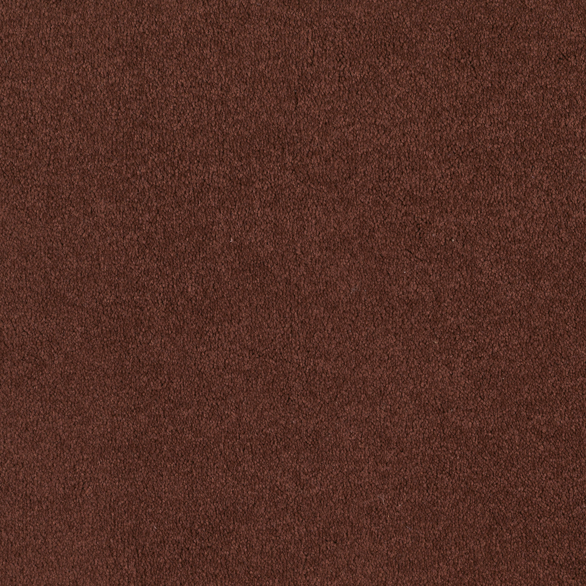 EVERYDAY COMFORT (S) MAGIC LANTERN MAIN