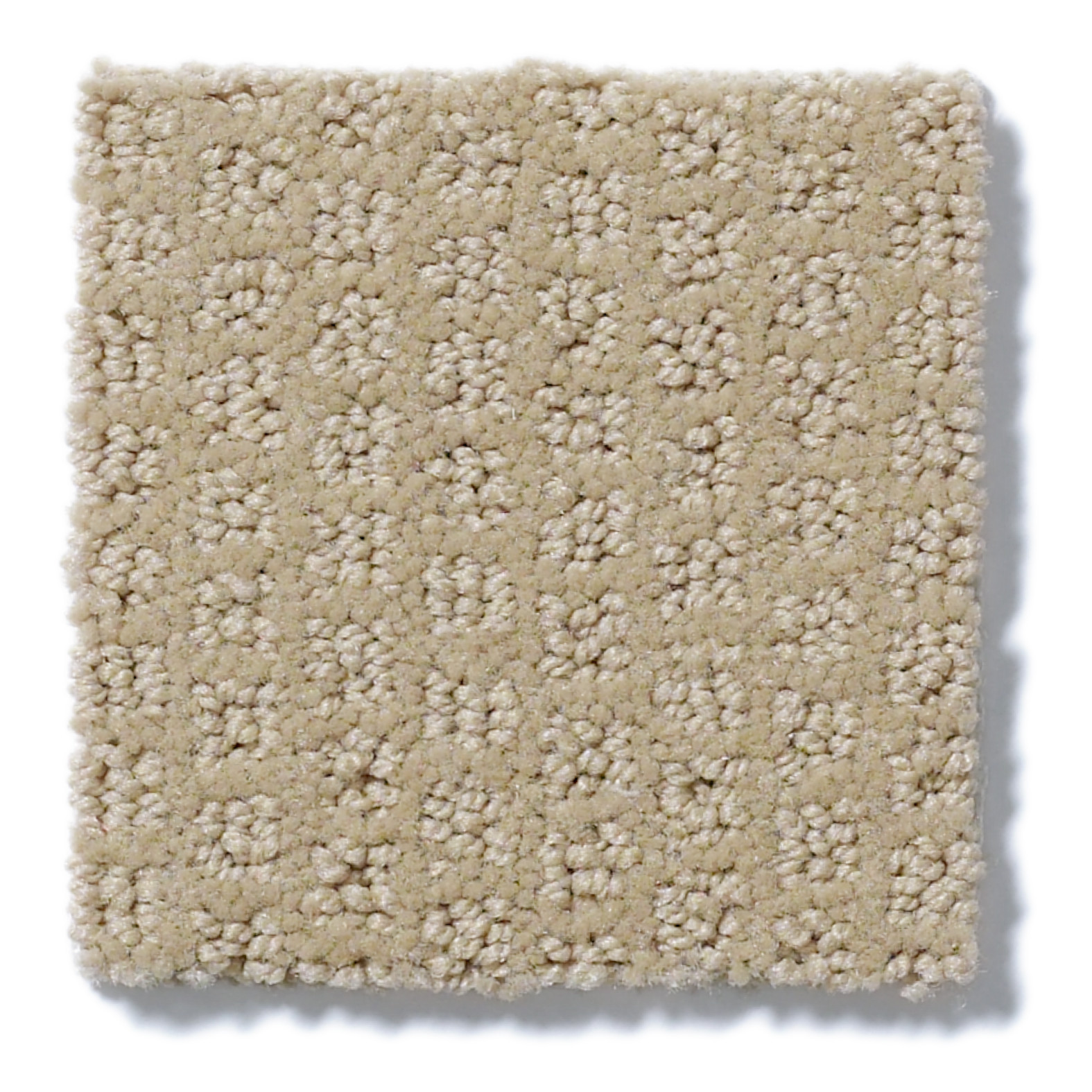 GAINEY RANCH MUSHROOM SWATCH