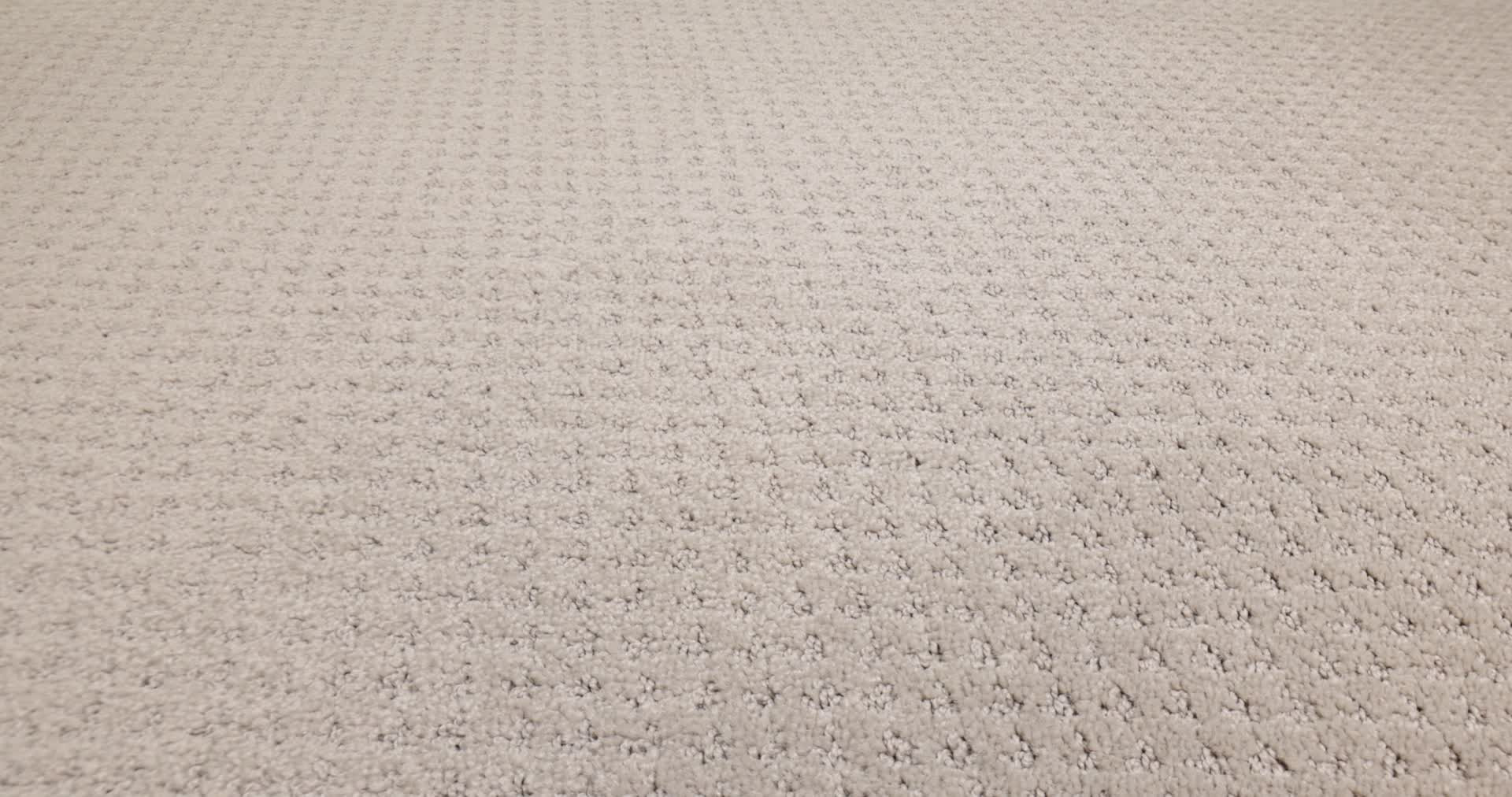 DEL VISTA BARISTA 360PROD