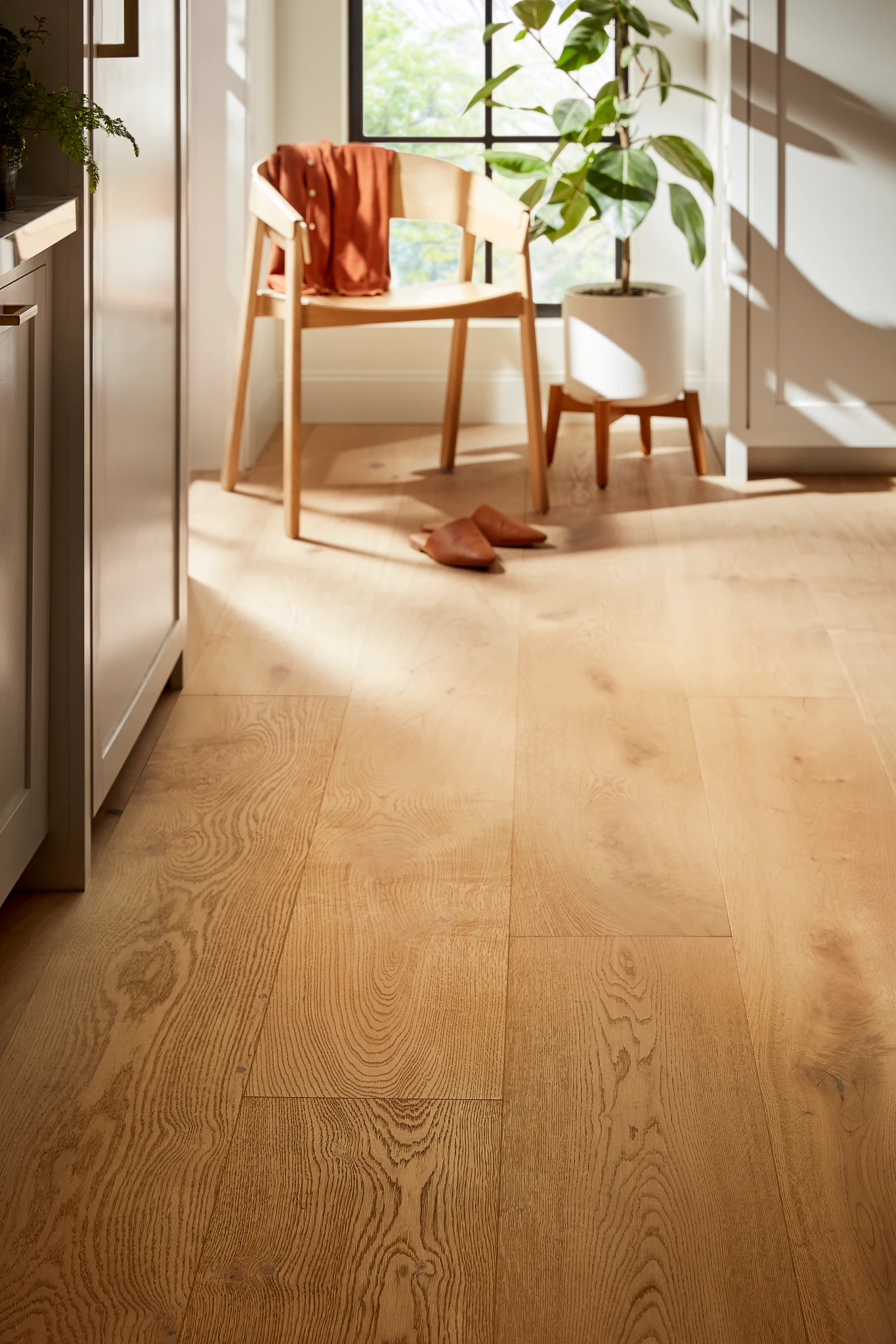 Light natural oak hardwood flooring in a sunny room with a wooden chair and large potted plant