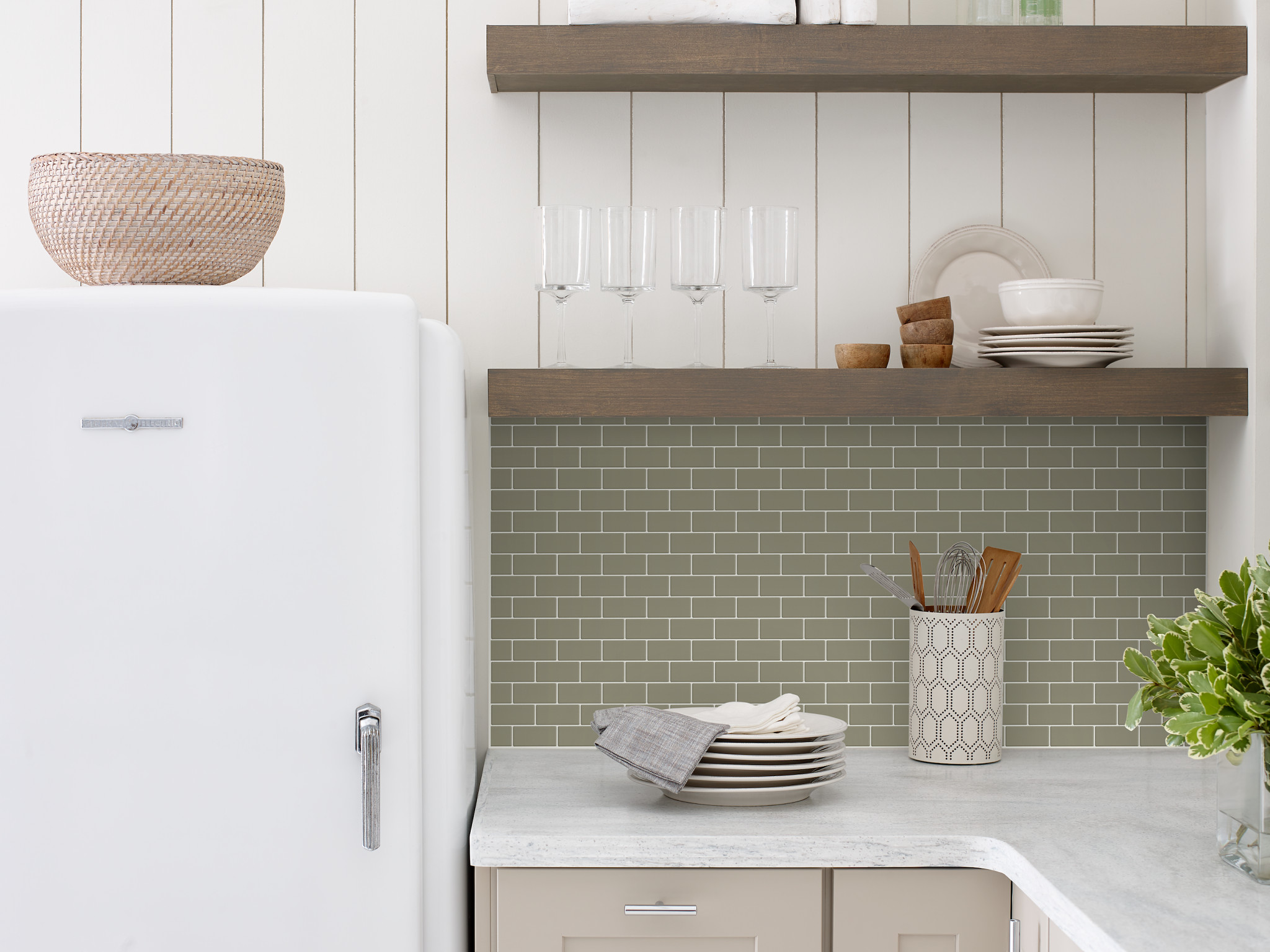 TECHNICOLOR DREAMS MOS AVACADO ROOM