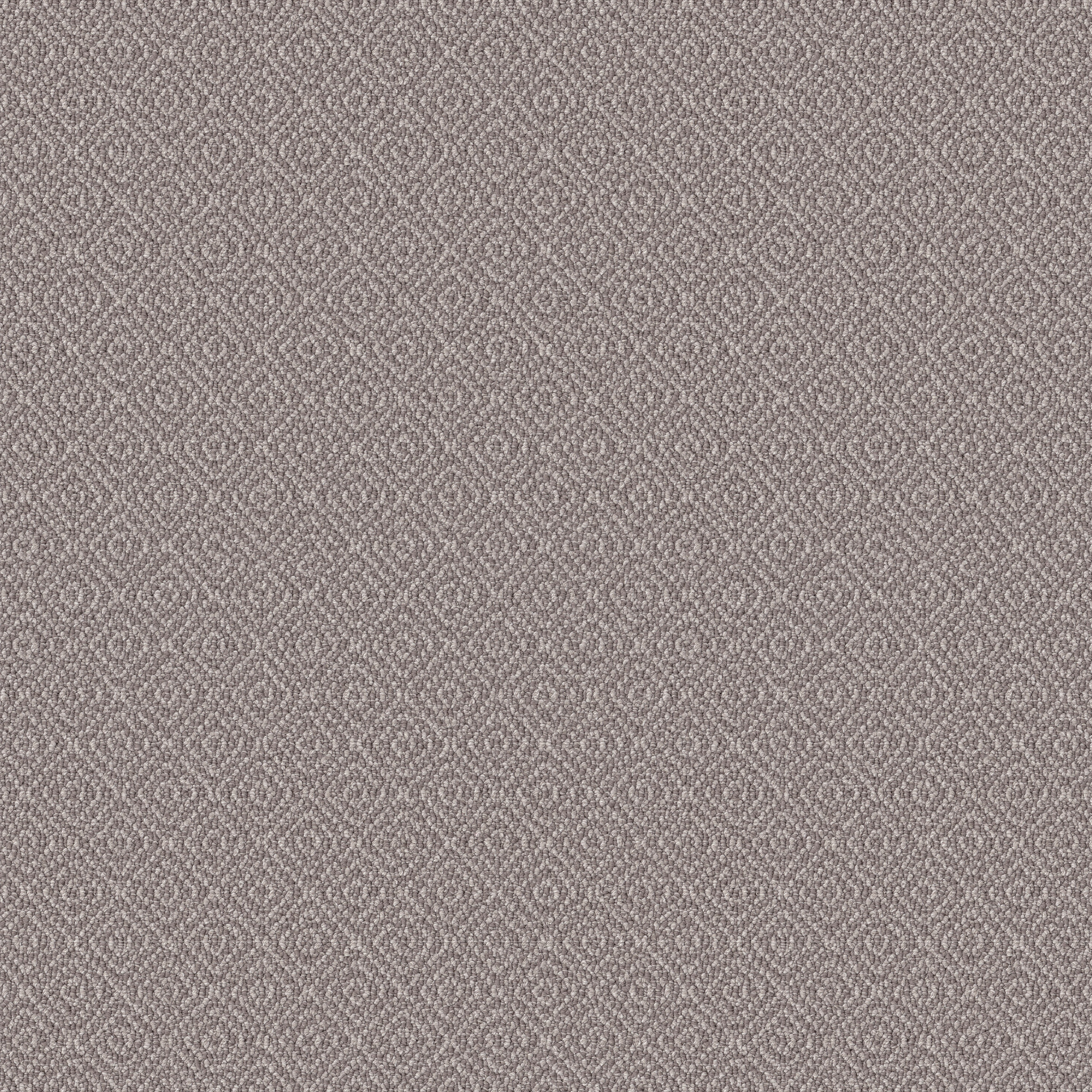 STROLL SHORELINE MAIN