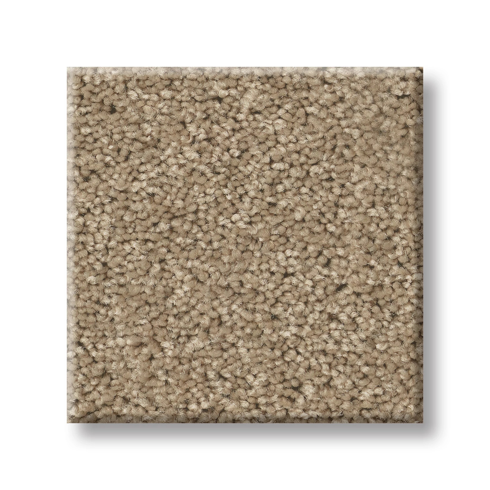 LAGUNA BEACH HAVANA SWATCH