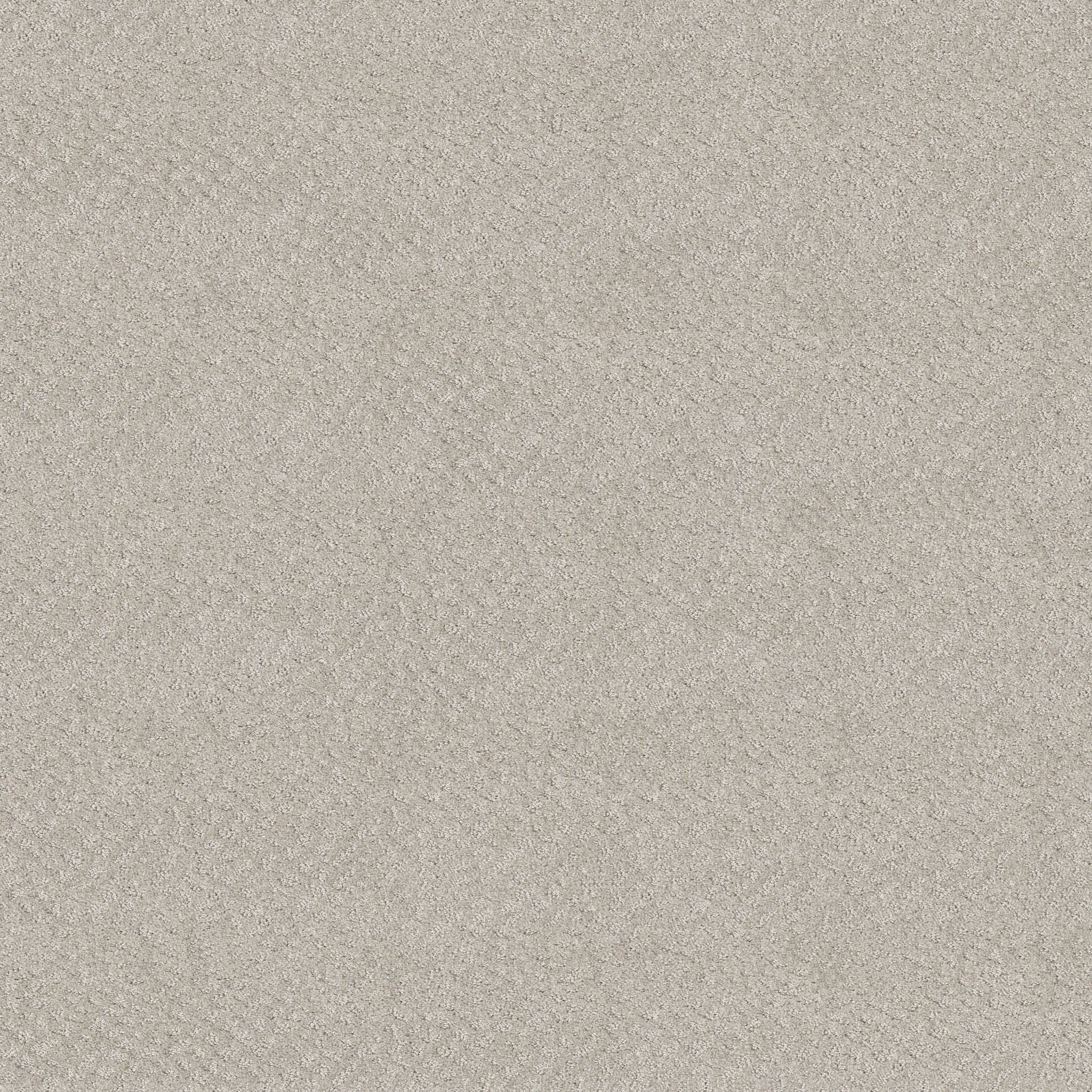 CHIC SHADES WINTERS DAWN MAIN